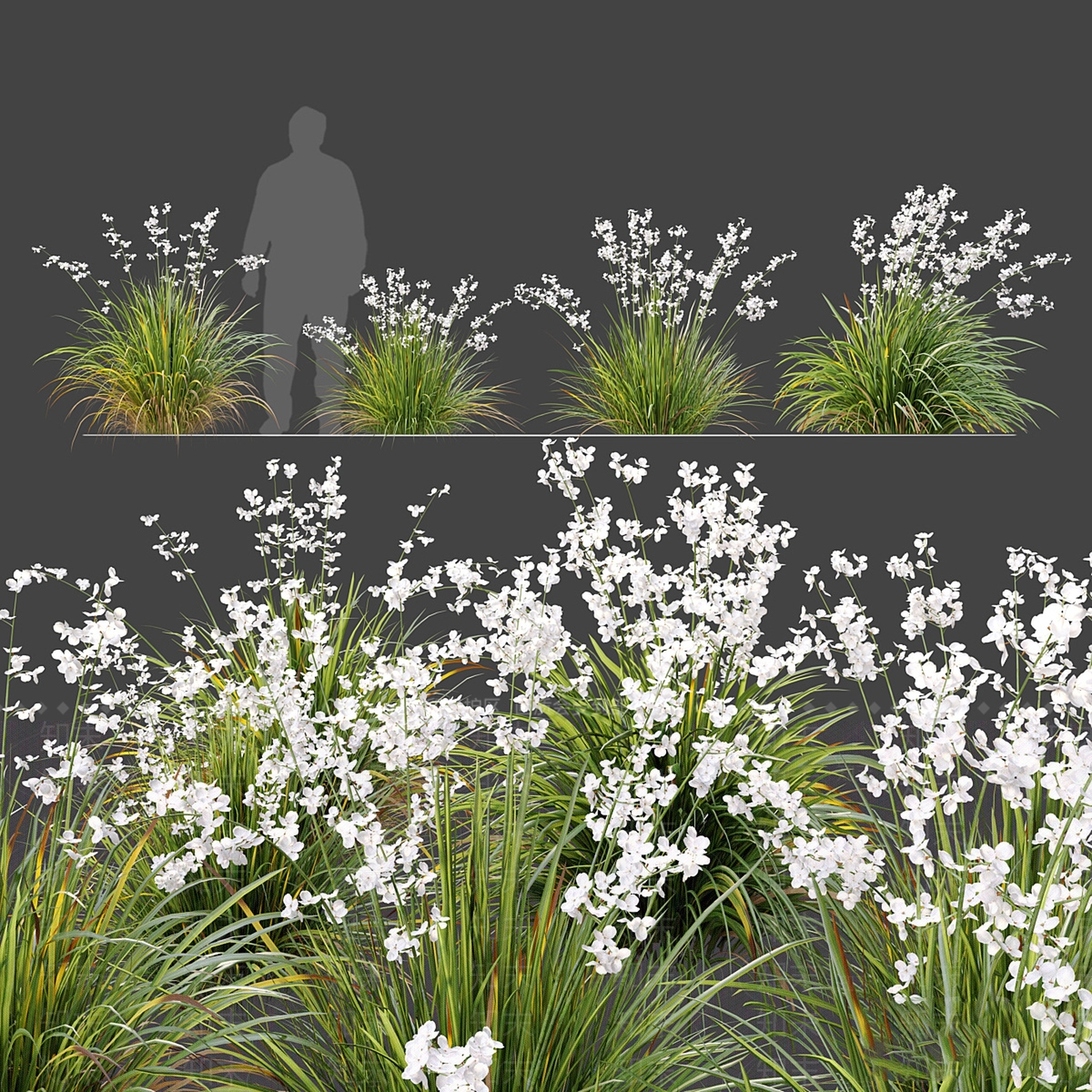 花草组合3D模型下载【ID:1177186629】