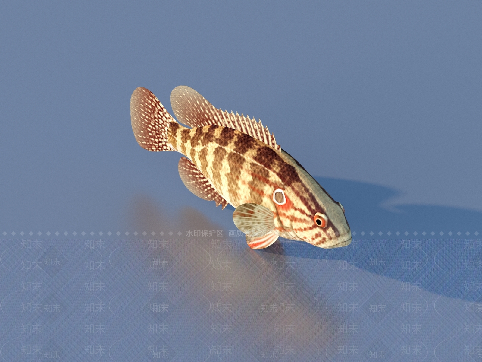 水生类动物3D模型下载【ID:1177195569】