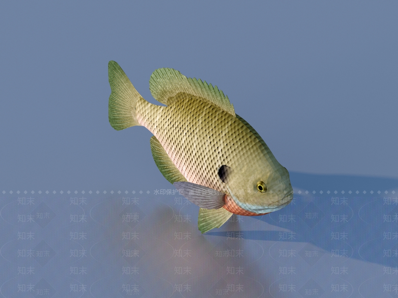 水生类动物3D模型下载【ID:1177197022】