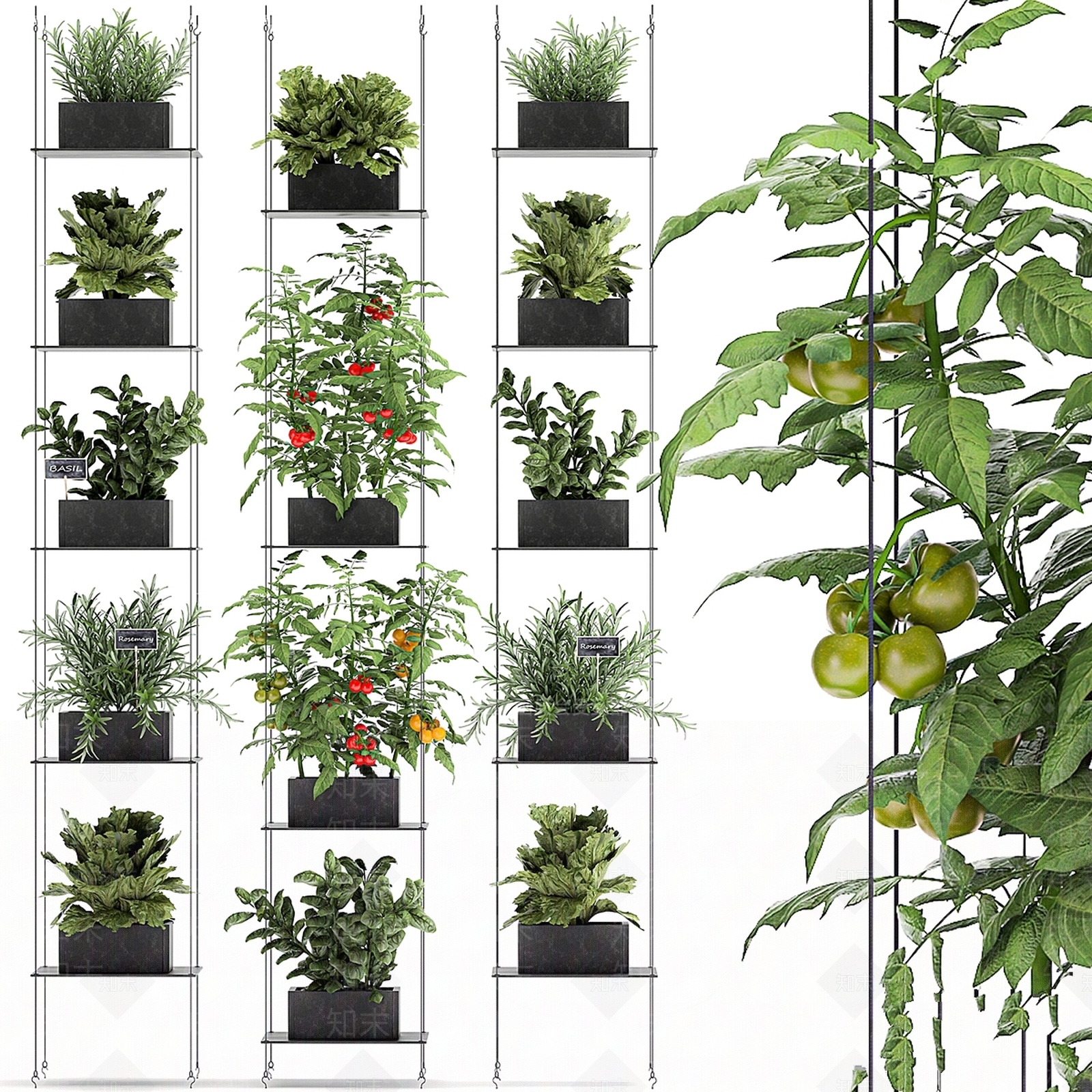 绿植墙3D模型下载【ID:1177219836】