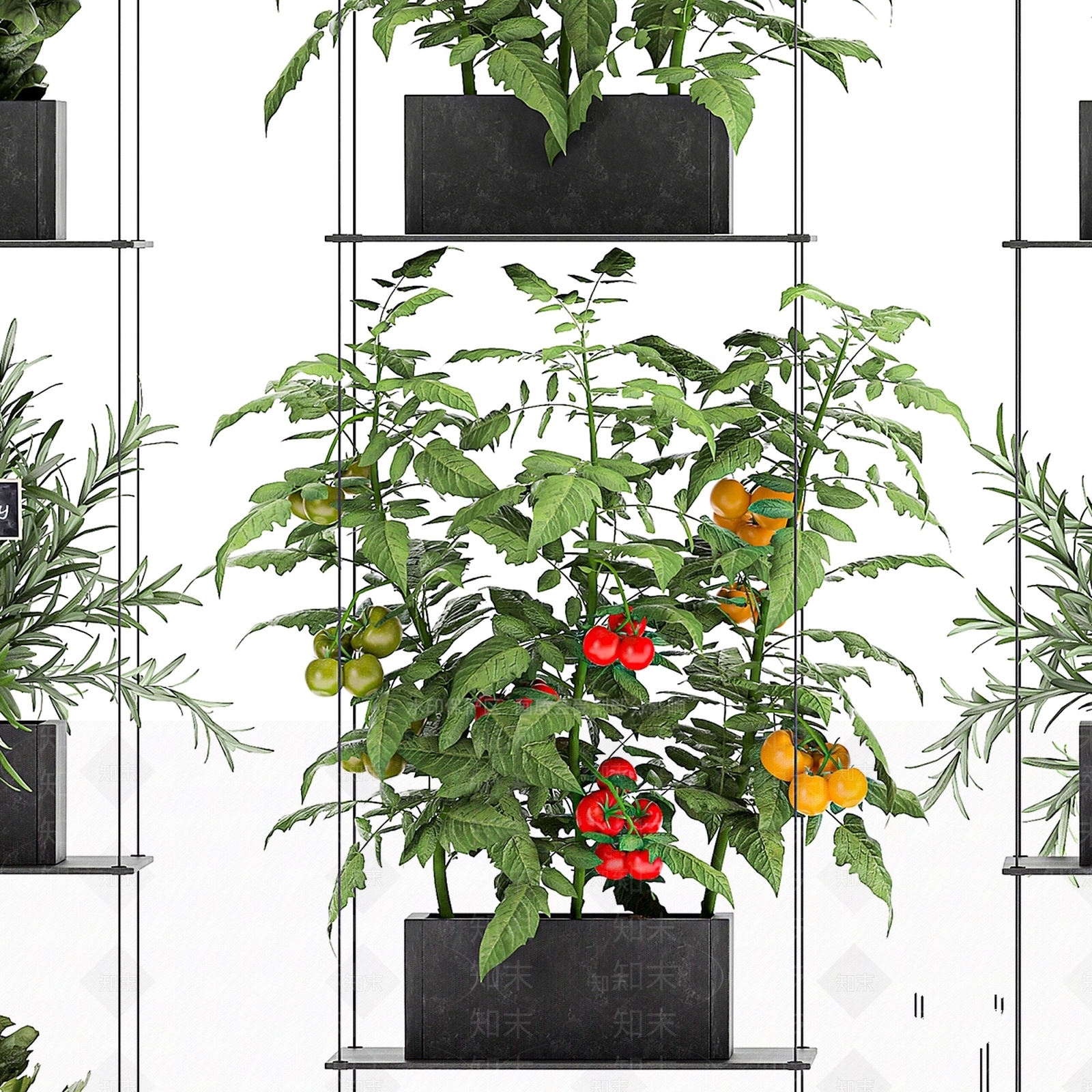 绿植墙3D模型下载【ID:1177219836】
