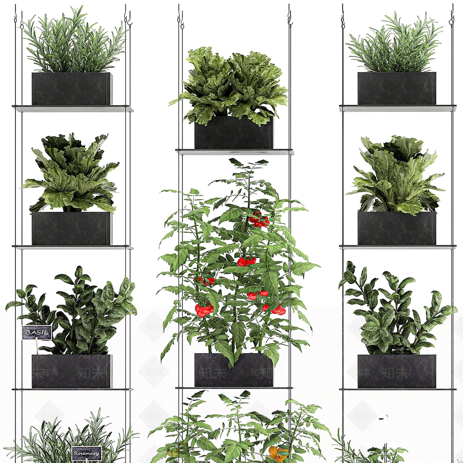绿植墙3D模型下载【ID:1177219836】