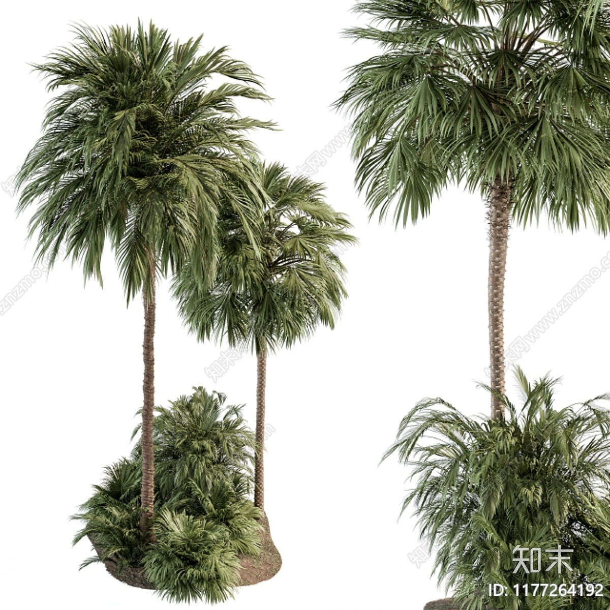 其他绿植3D模型下载【ID:1177264192】