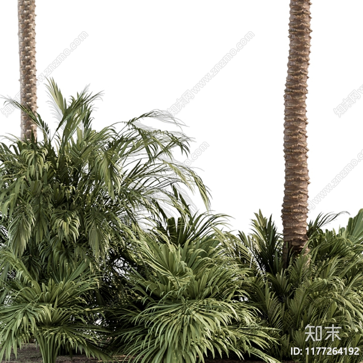 其他绿植3D模型下载【ID:1177264192】