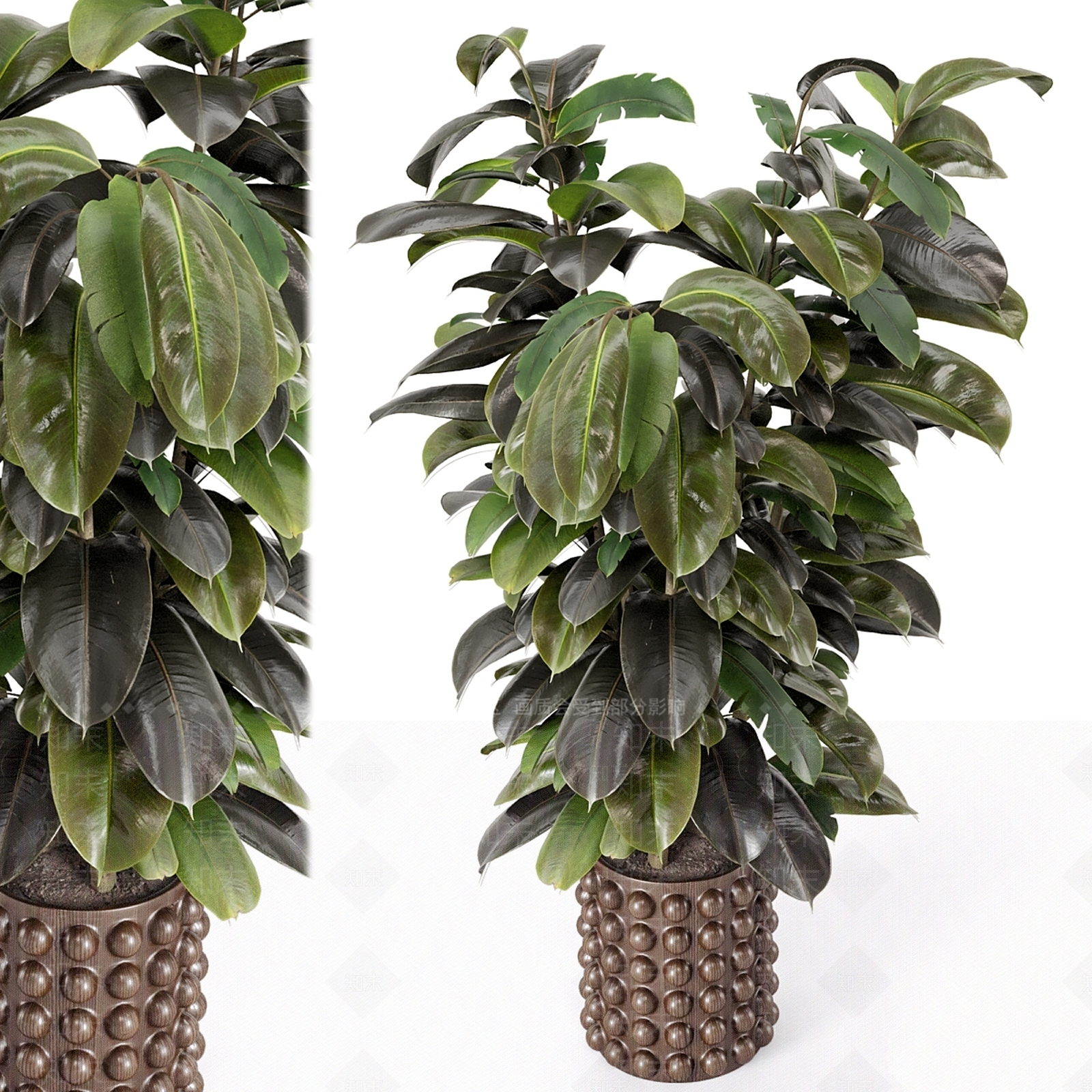 盆栽3D模型下载【ID:1177302835】