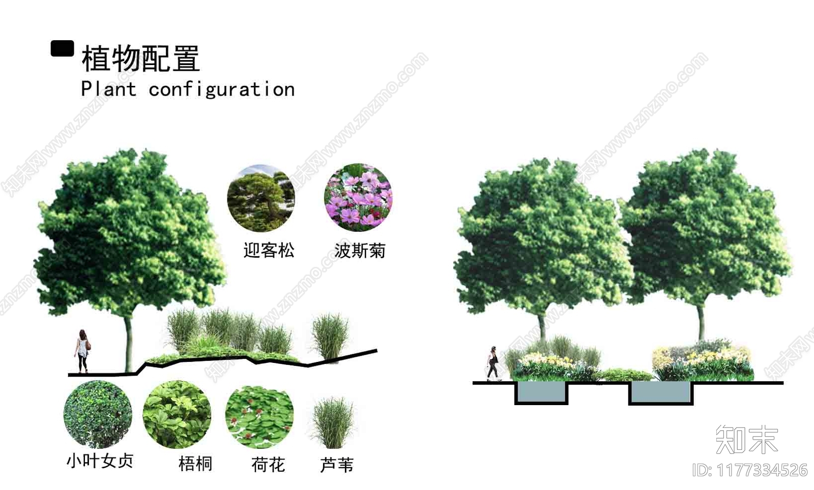 植物分析图设计素材精品下载_知末网