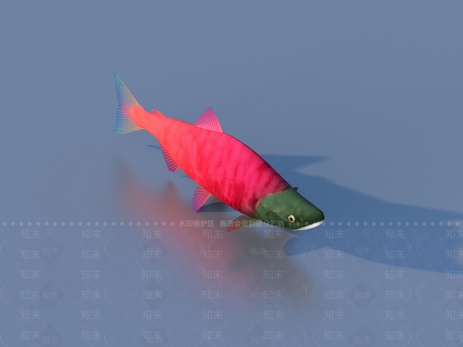 水生类动物3D模型下载【ID:1177336585】