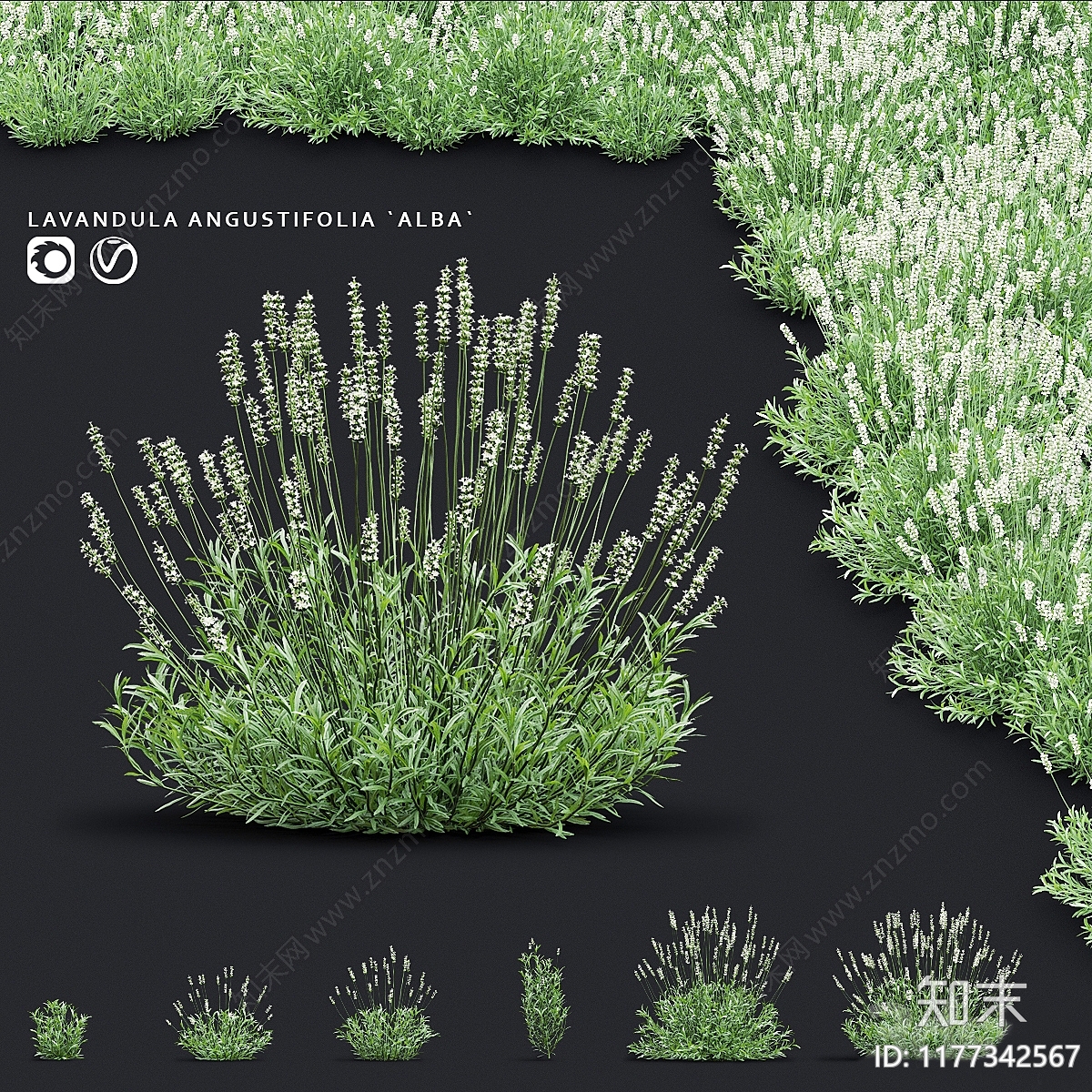 现代草丛植物堆3D模型下载【ID:1177342567】