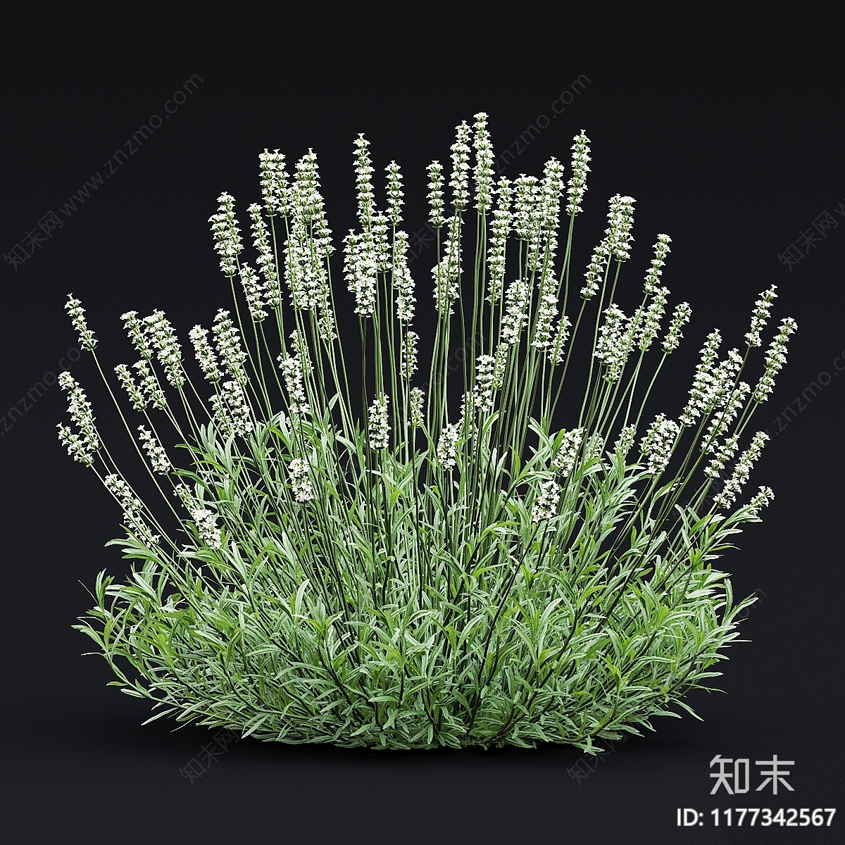 现代草丛植物堆3D模型下载【ID:1177342567】