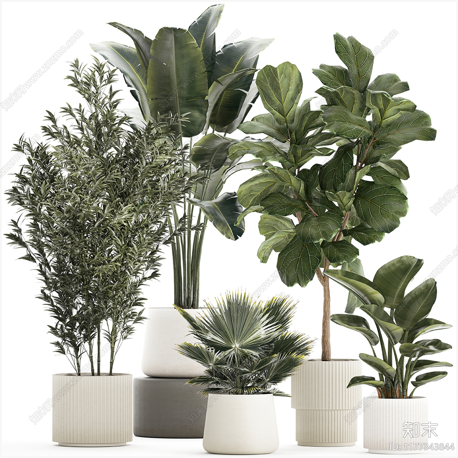 现代植物盆栽3D模型下载【ID:1177343844】