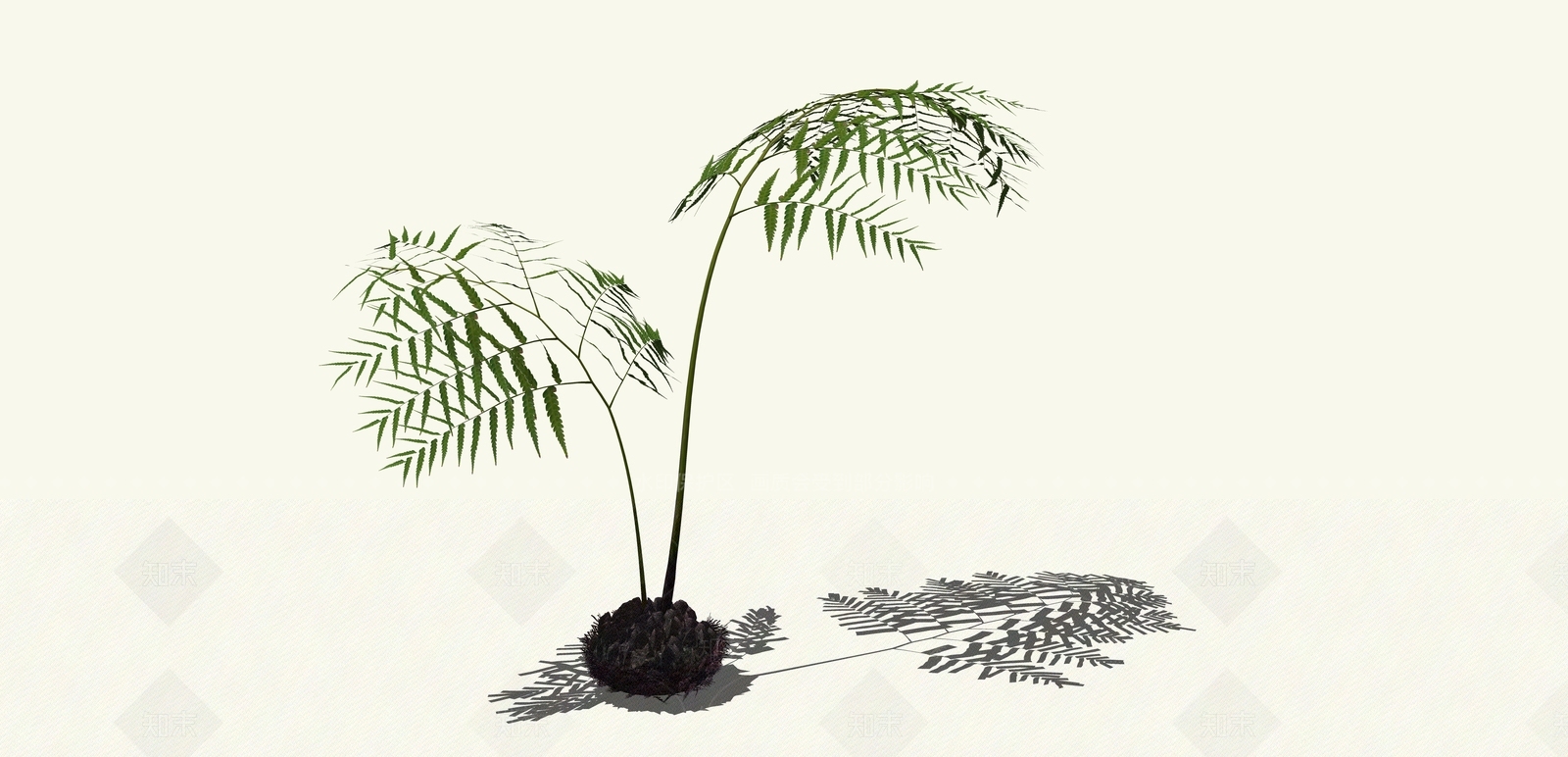 禅意灌木SU模型草图
