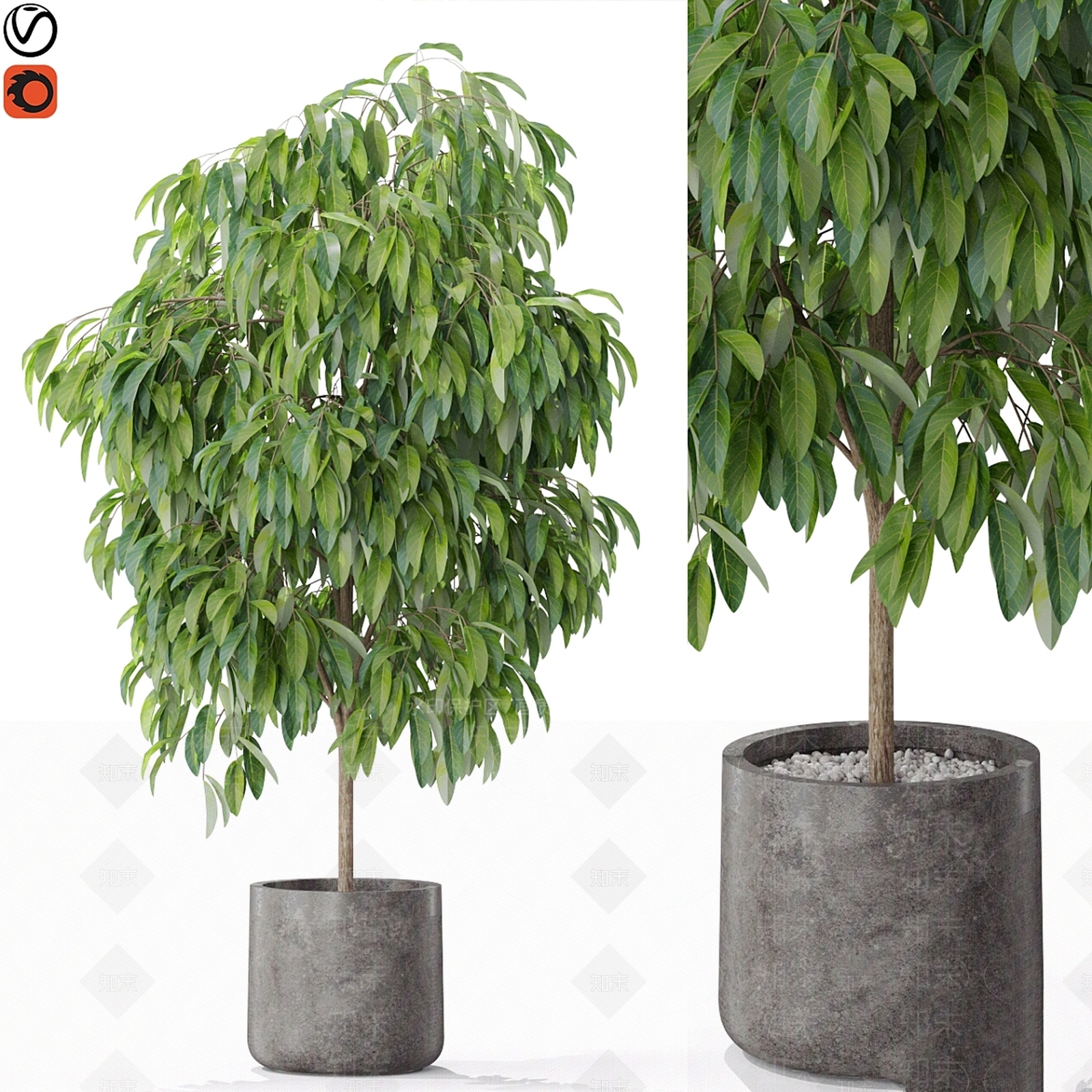 盆栽3D模型下载【ID:1177386697】