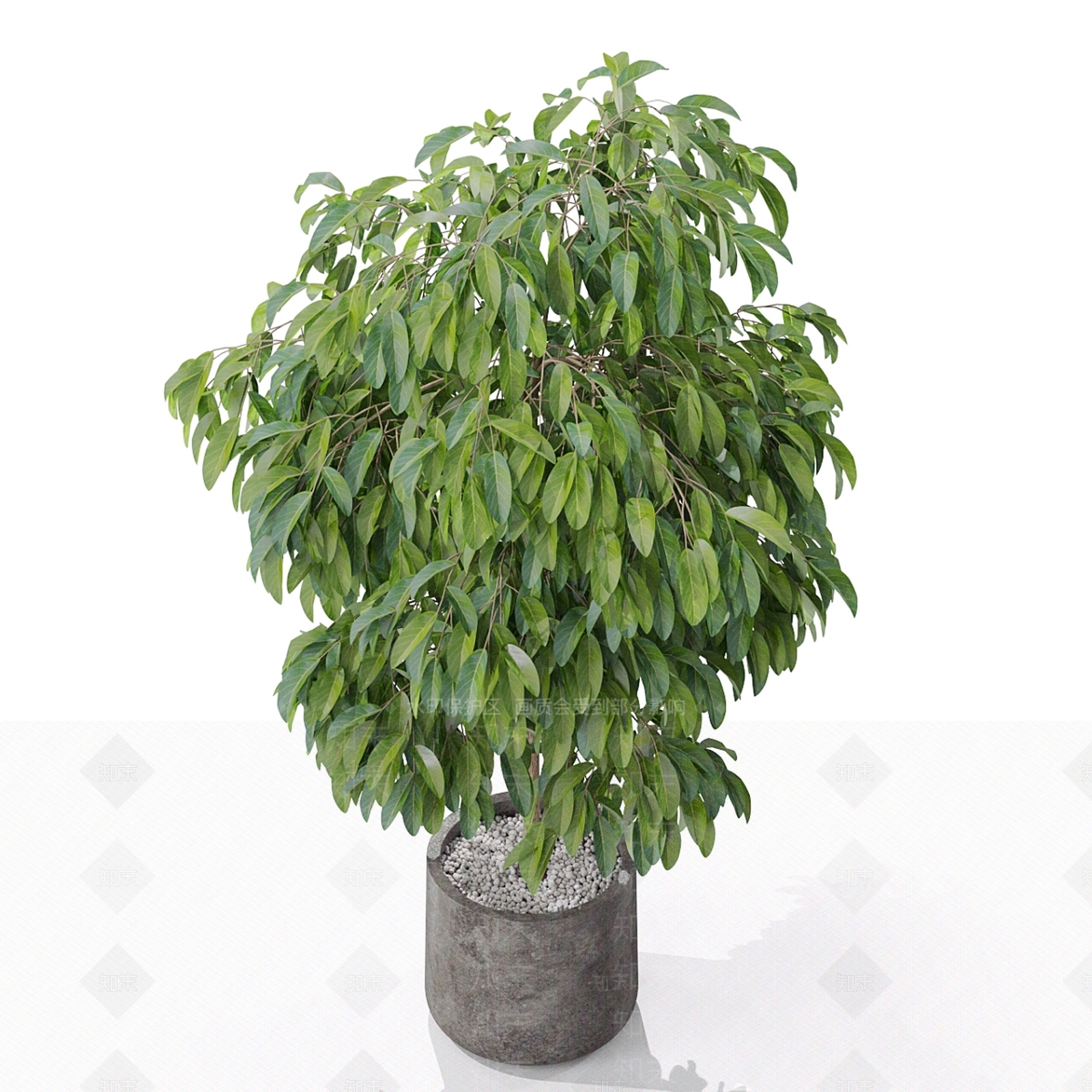 盆栽3D模型下载【ID:1177386697】