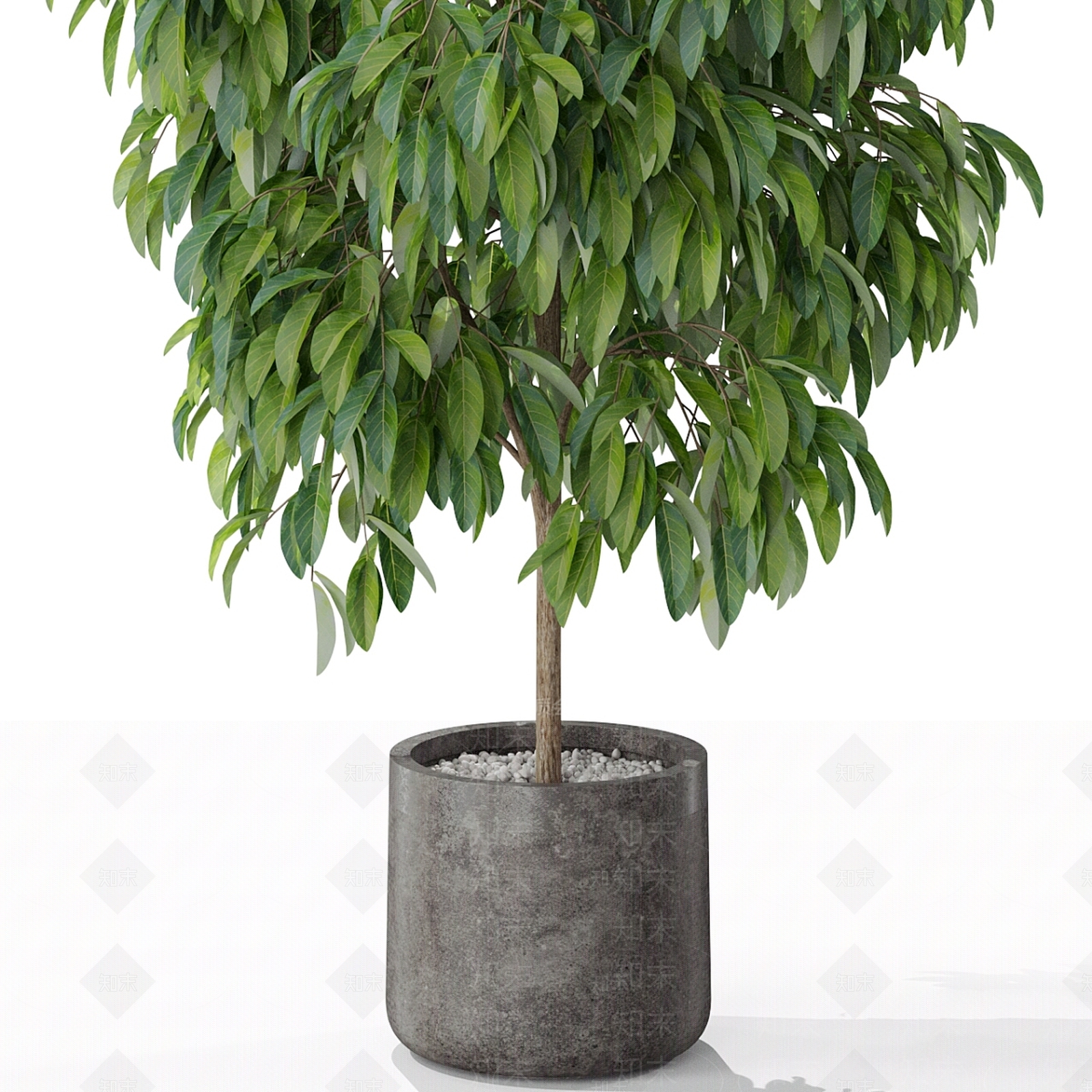盆栽3D模型下载【ID:1177386697】