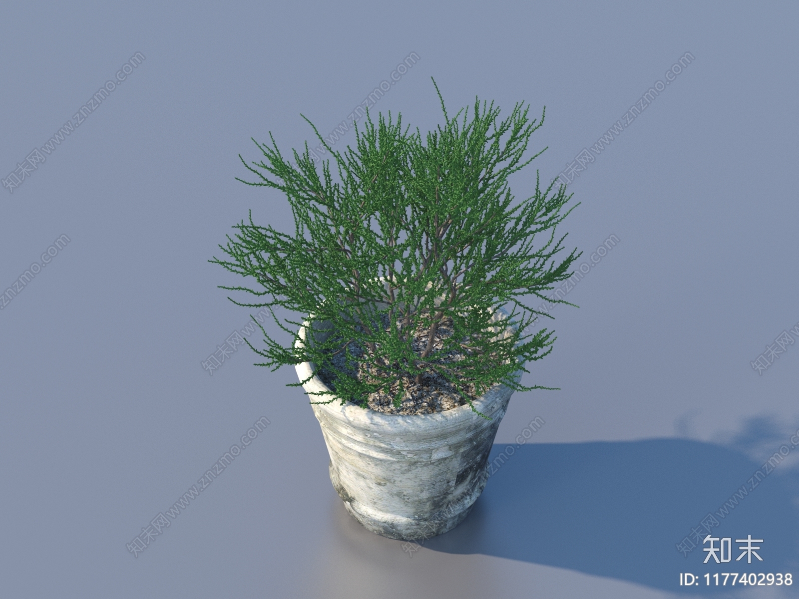 盆栽3D模型下载【ID:1177402938】