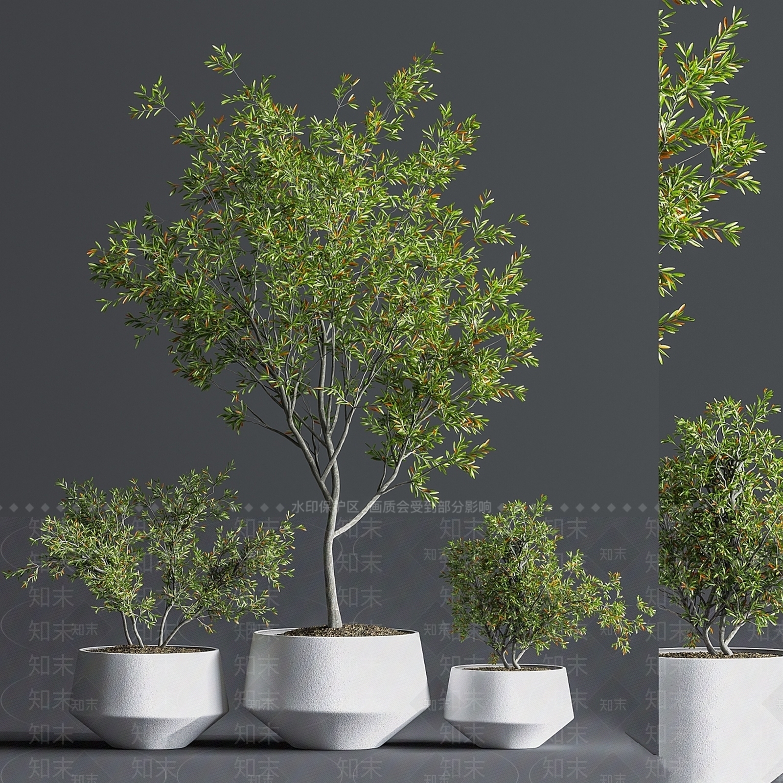 盆栽3D模型下载【ID:1177421179】