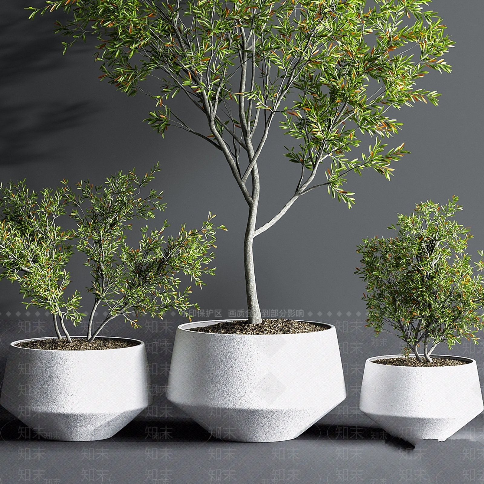 盆栽3D模型下载【ID:1177421179】