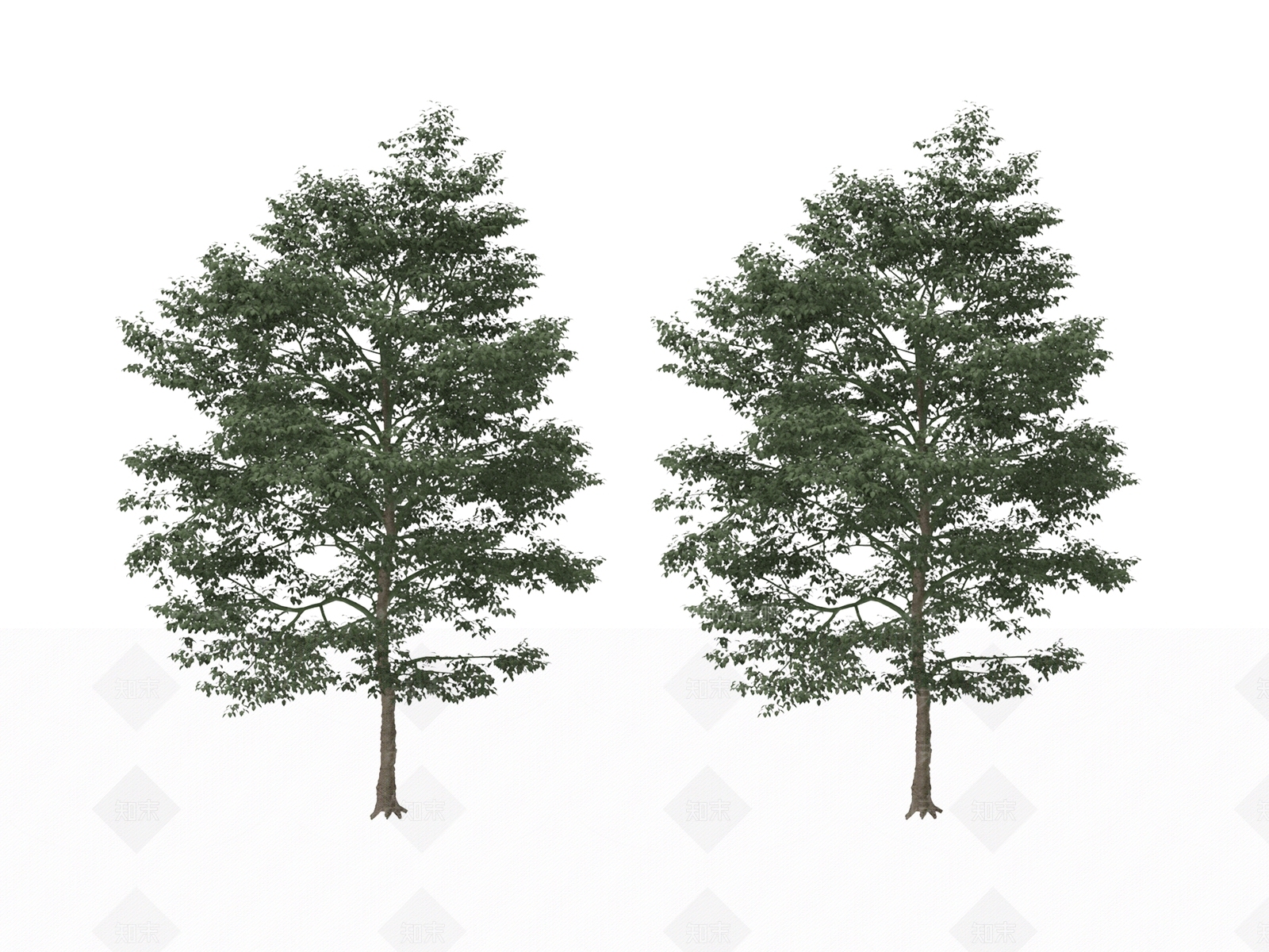 乔木3D模型下载【ID:1177445100】