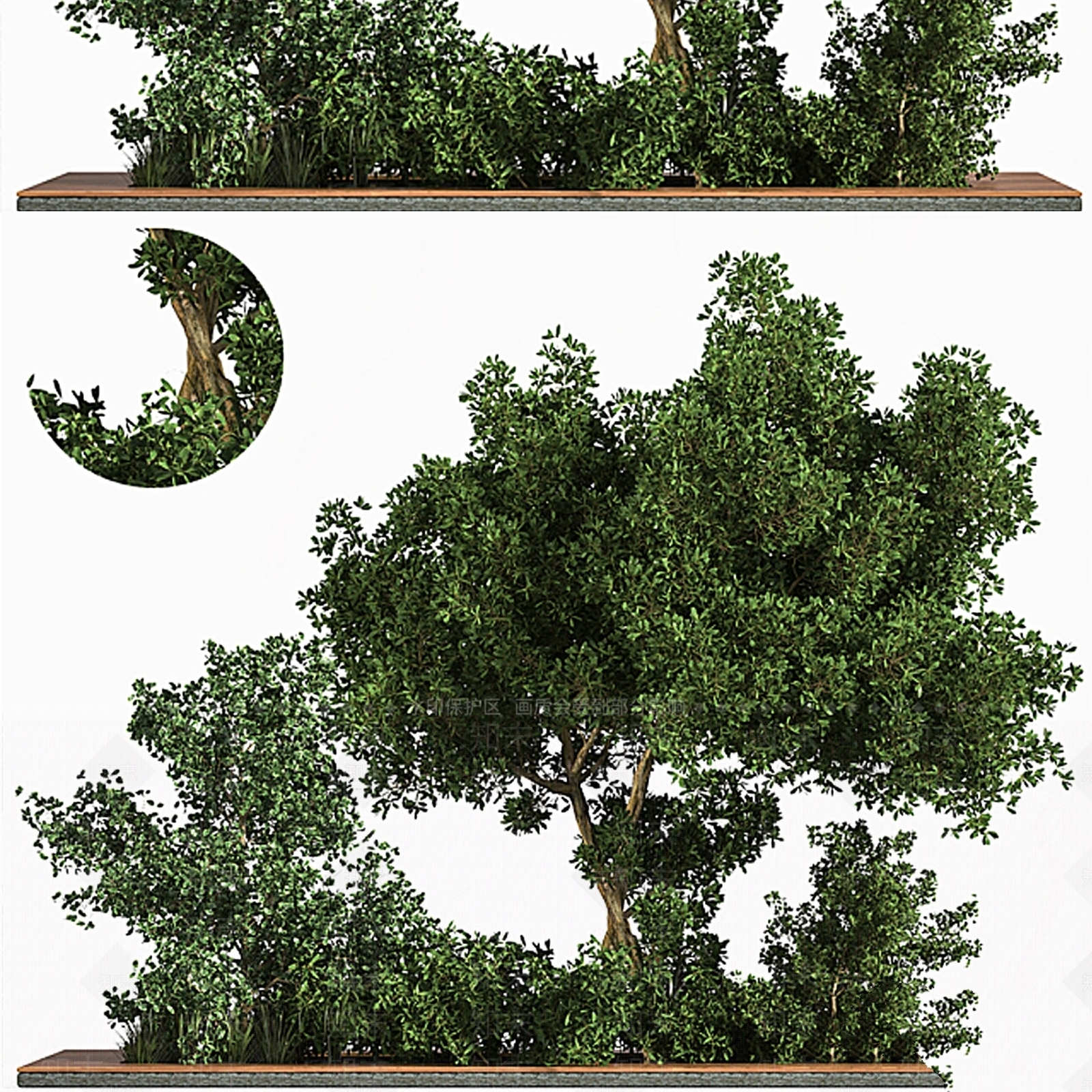 其他绿植3D模型下载【ID:1177493880】