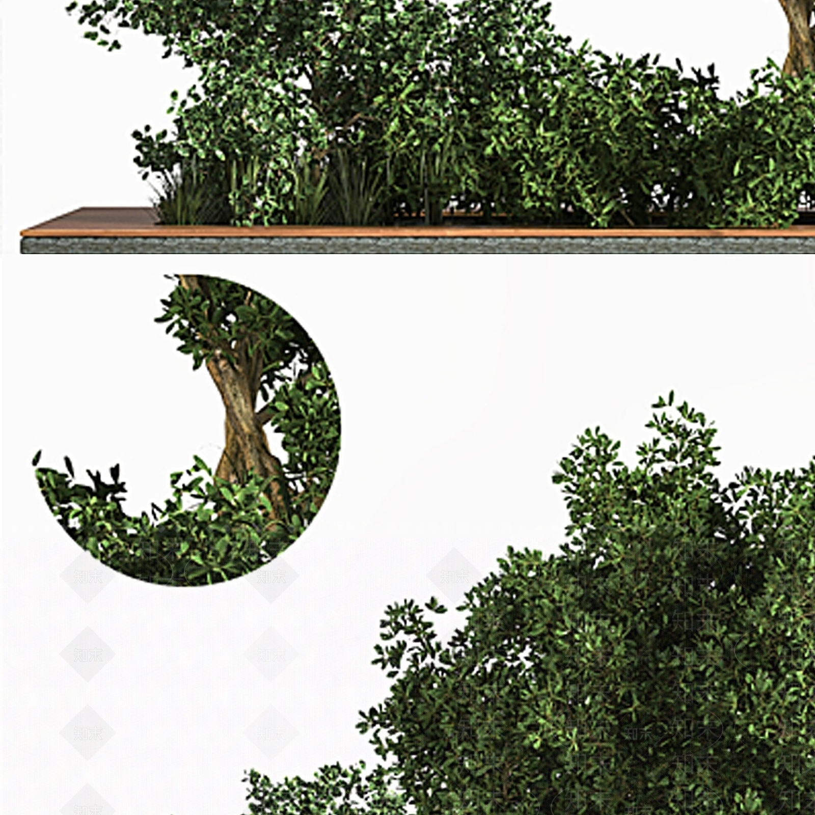 其他绿植3D模型下载【ID:1177493880】