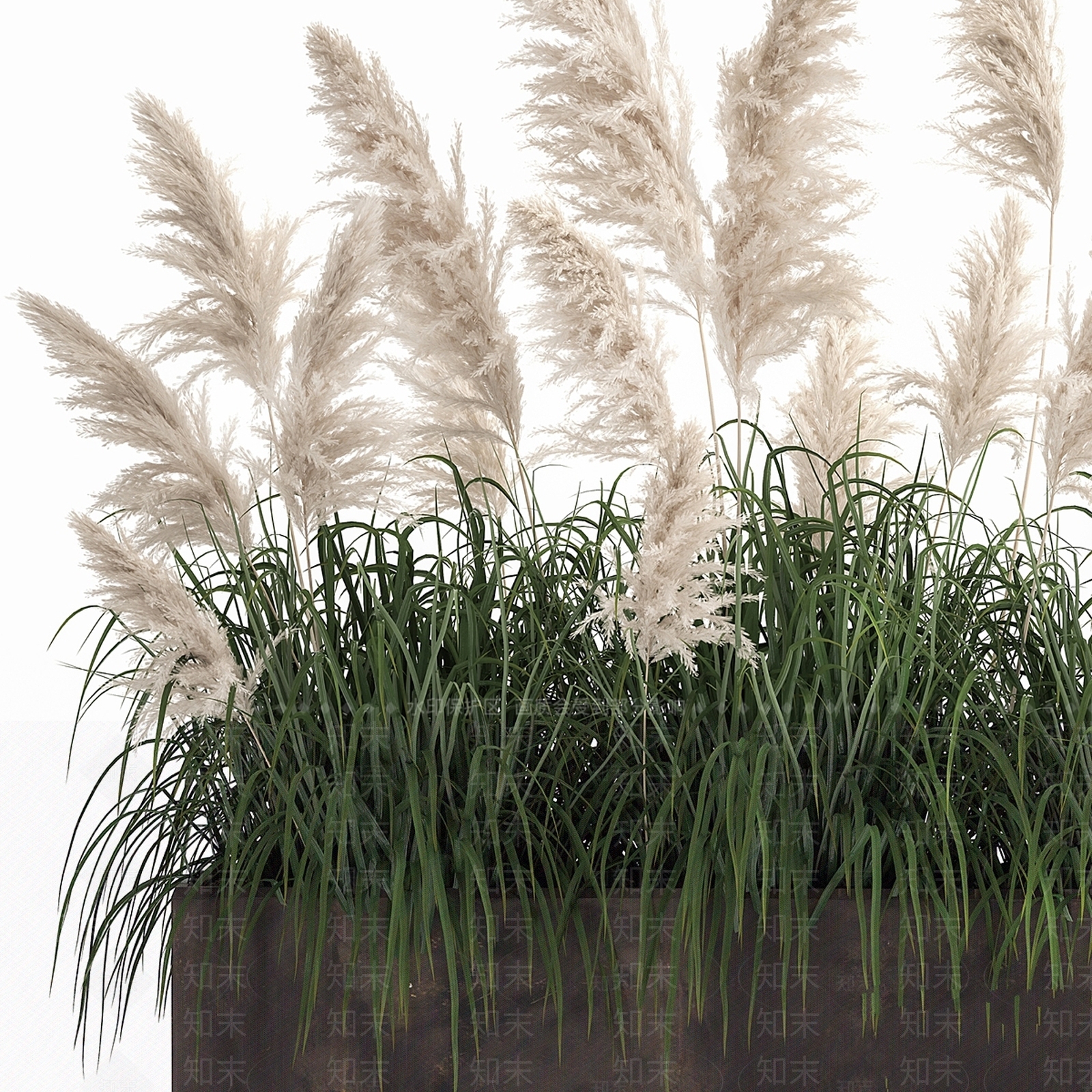 其他绿植3D模型下载【ID:1177501737】