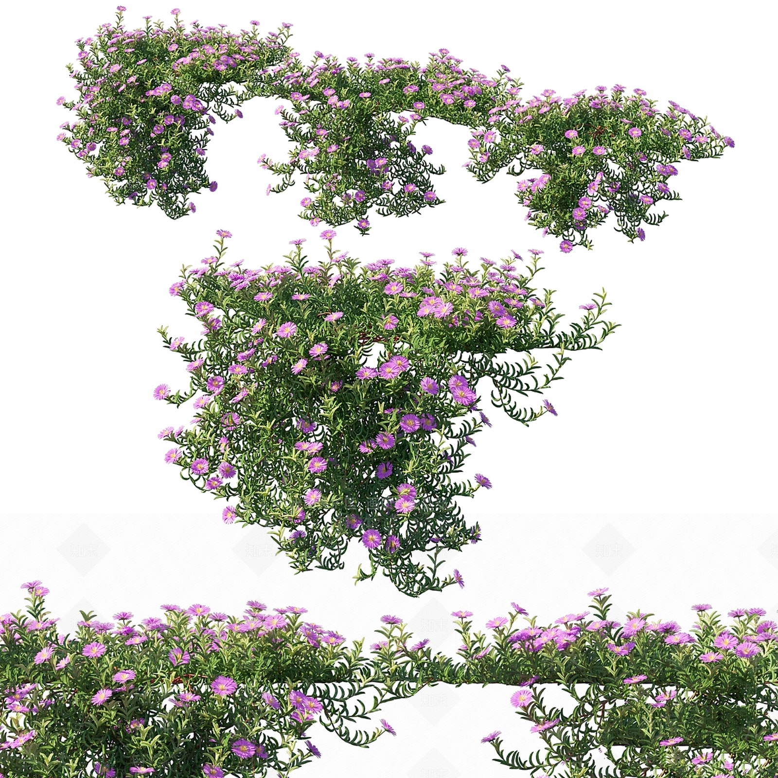 其他绿植3D模型下载【ID:1177503533】