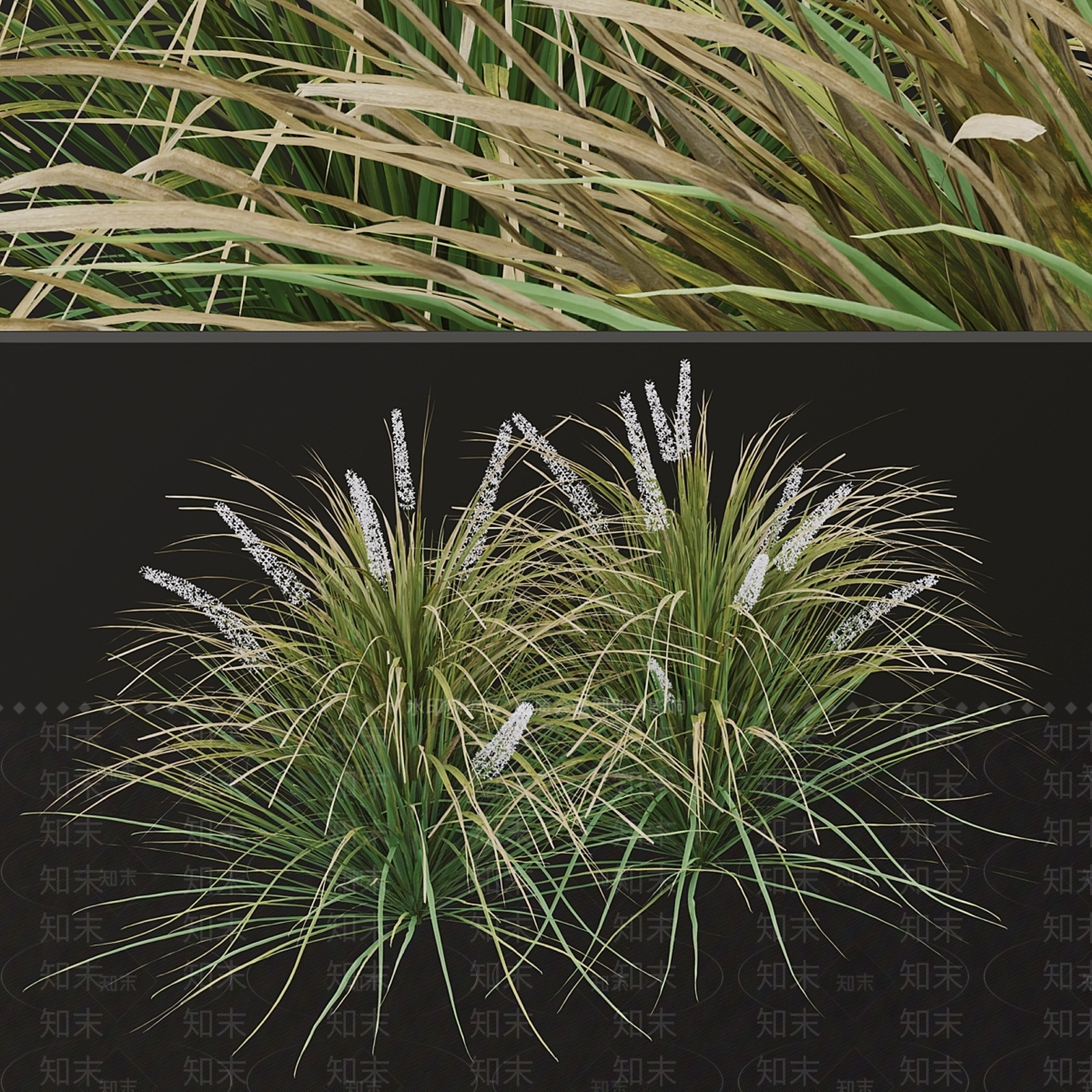 其他绿植3D模型下载【ID:1177503987】