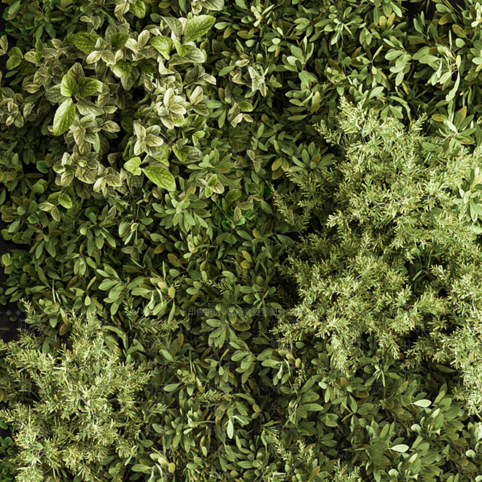 绿植墙3D模型下载【ID:1177510312】