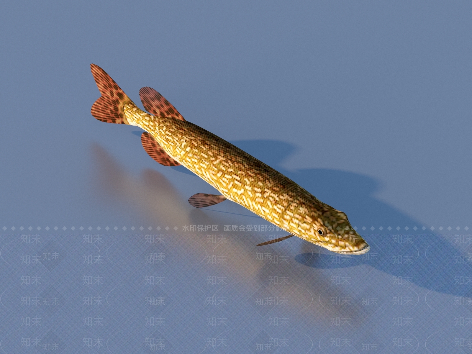 水生类动物3D模型下载【ID:1177511905】