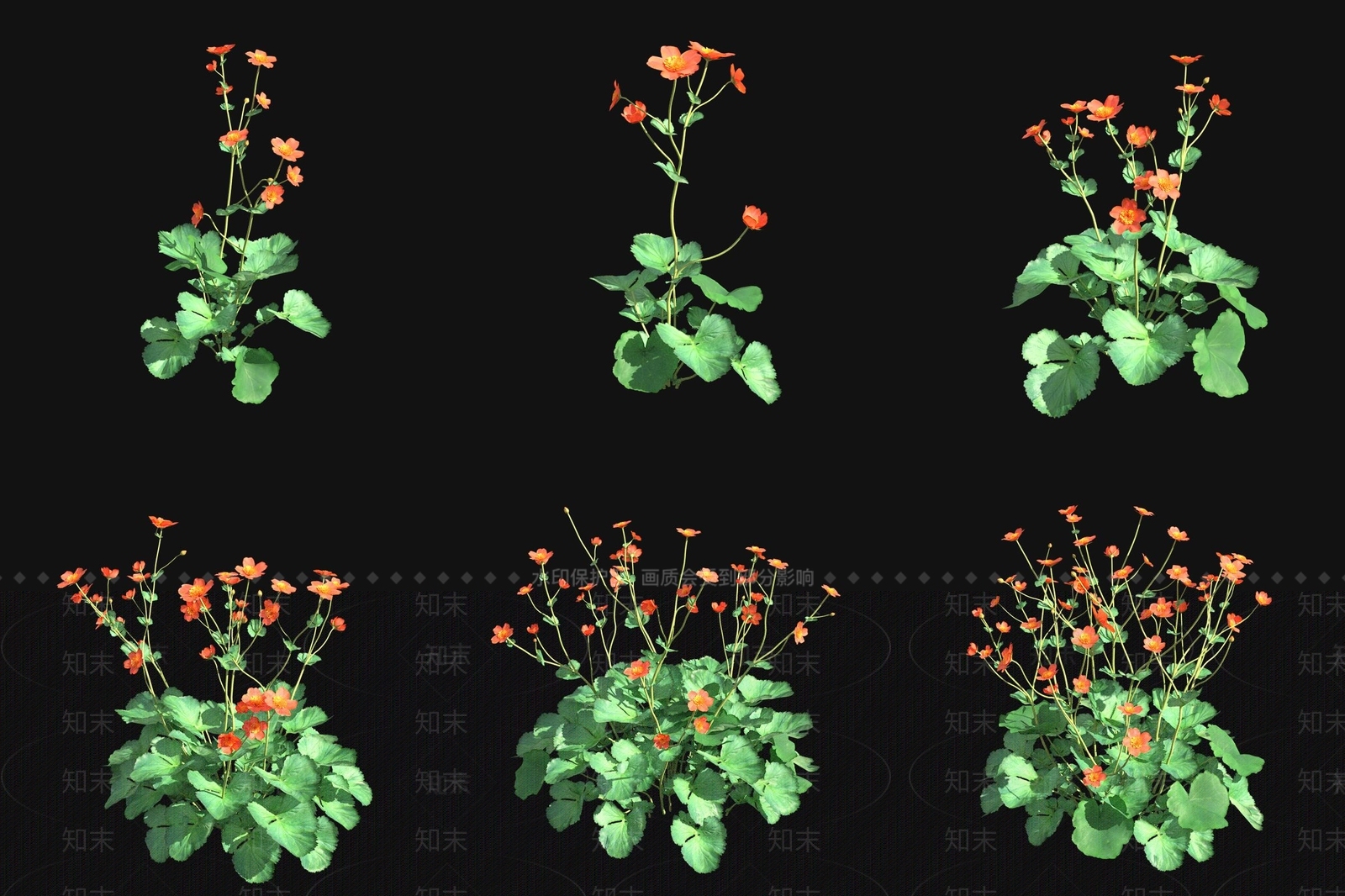 花草组合3D模型下载【ID:1177527647】