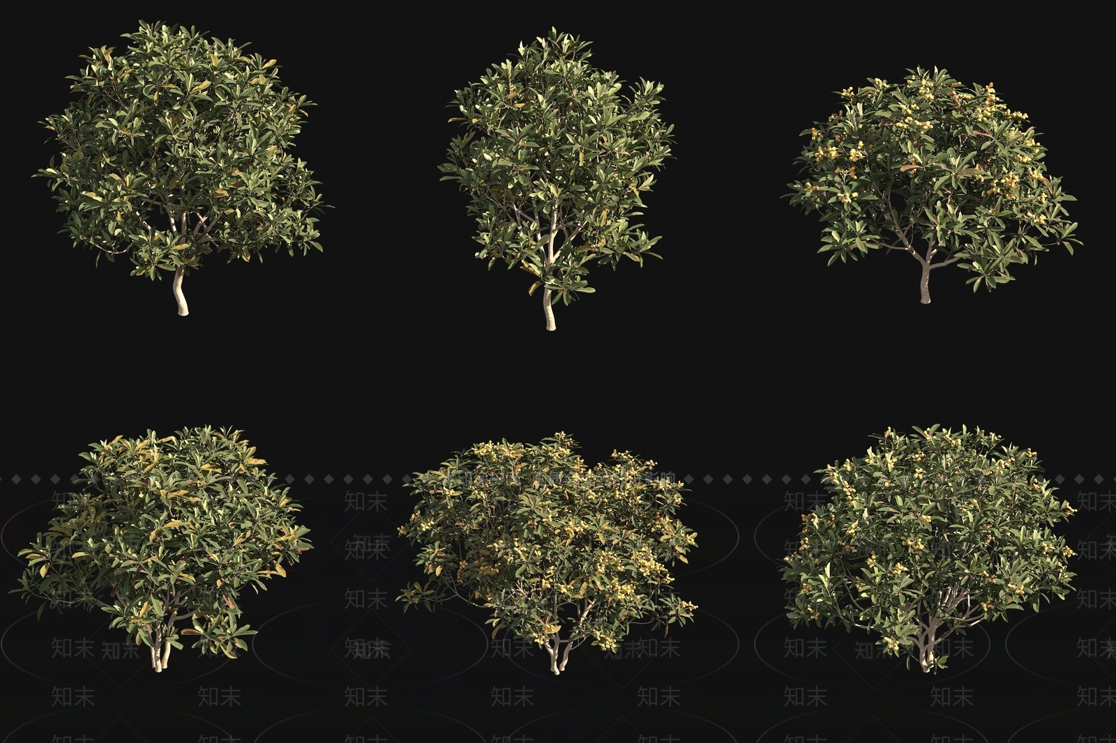 景观树3D模型下载【ID:1177528293】