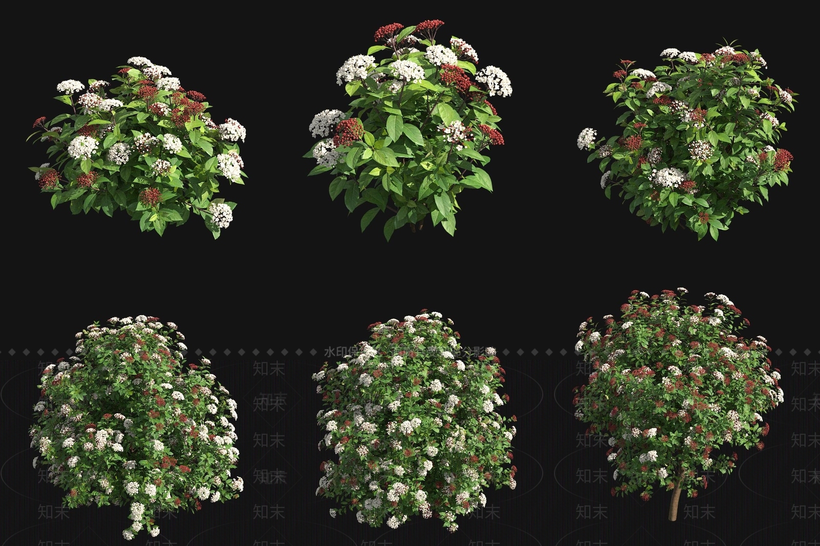 灌木3D模型下载【ID:1177530045】