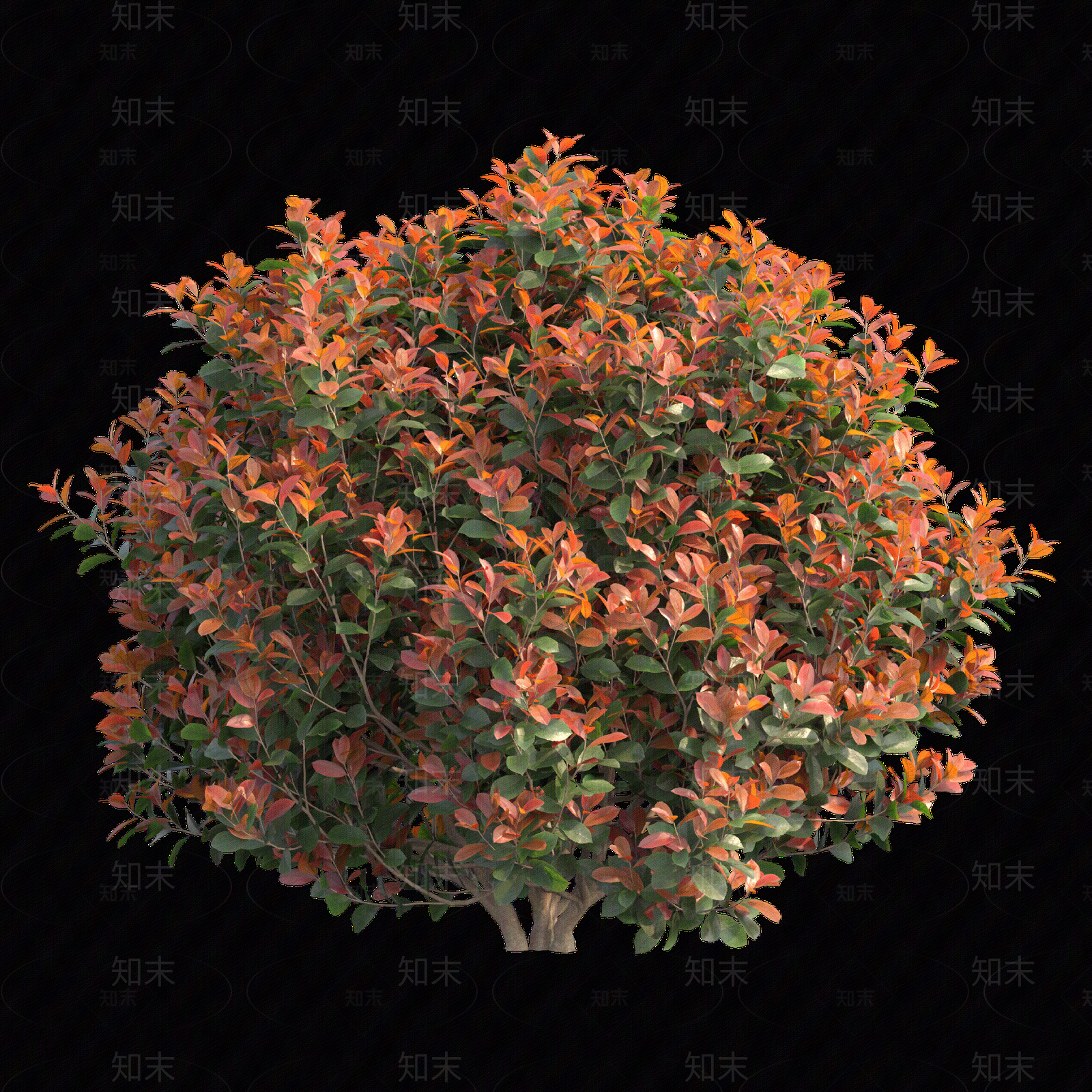 现代其它HDR贴图下载【ID:1177570695】