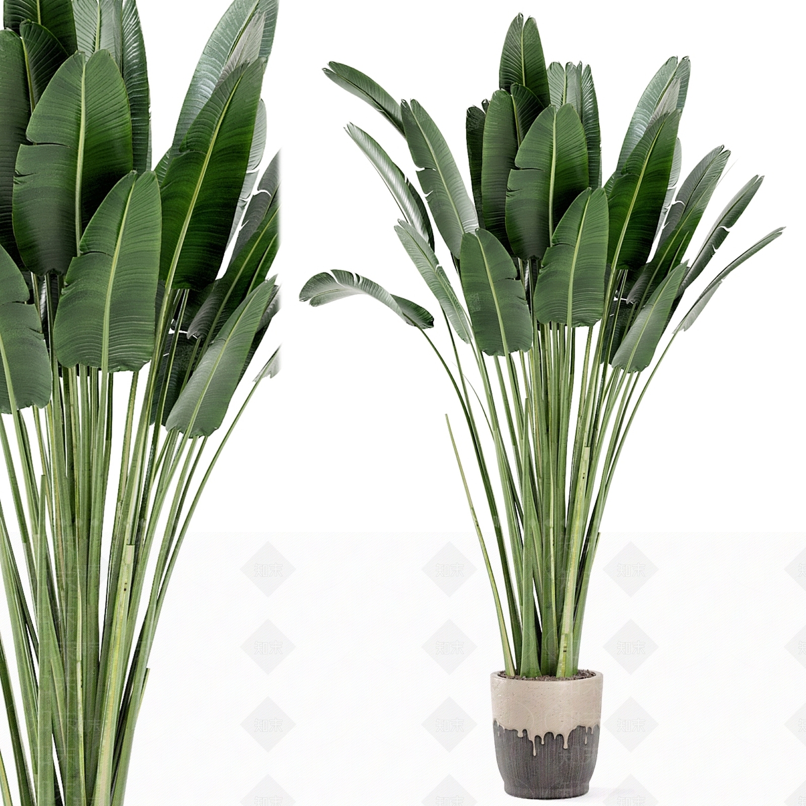 盆栽3D模型下载【ID:1177638693】