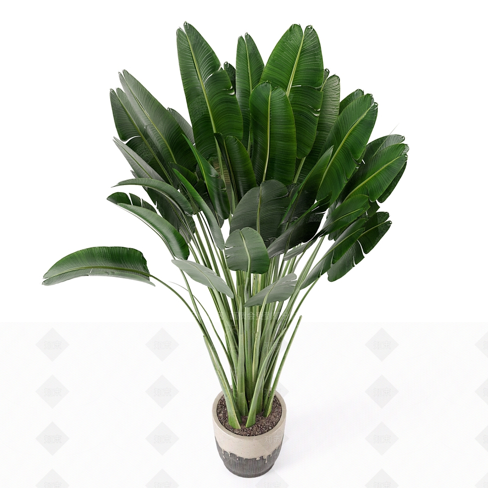 盆栽3D模型下载【ID:1177638693】