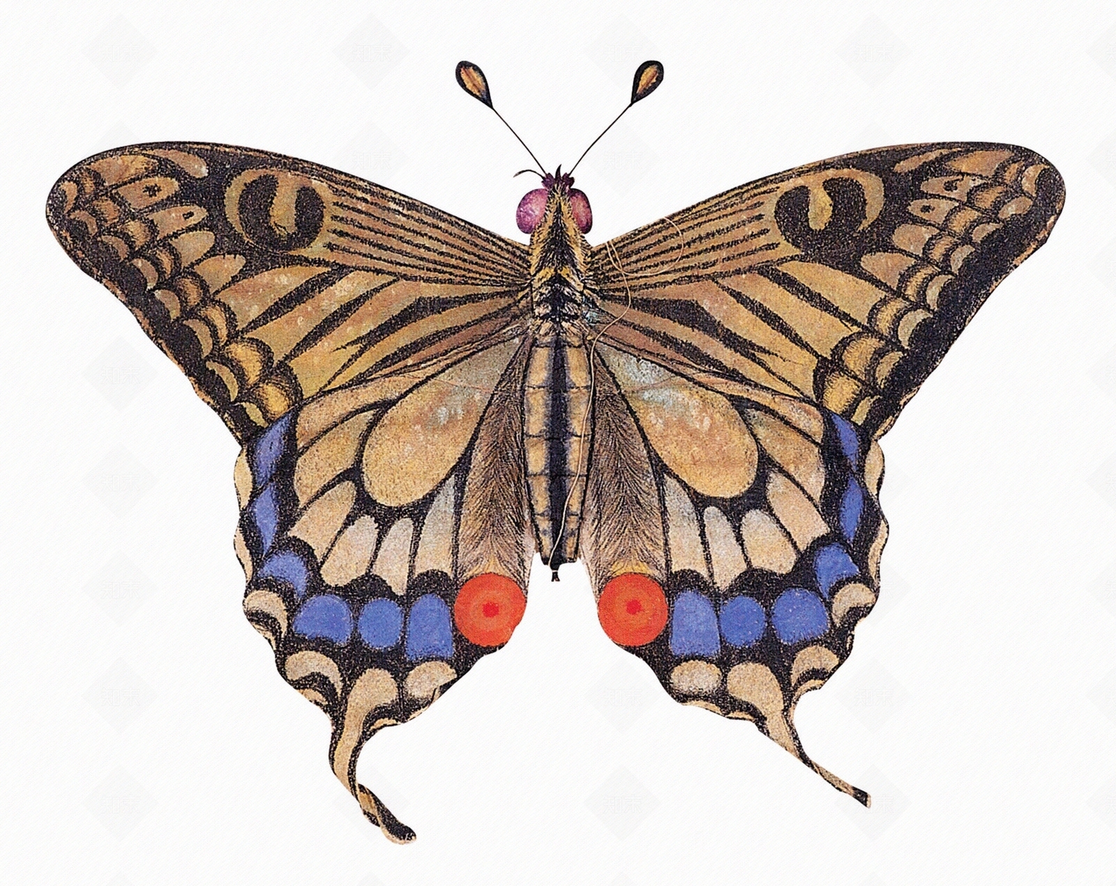 其它布纹贴图下载【ID:1177642120】