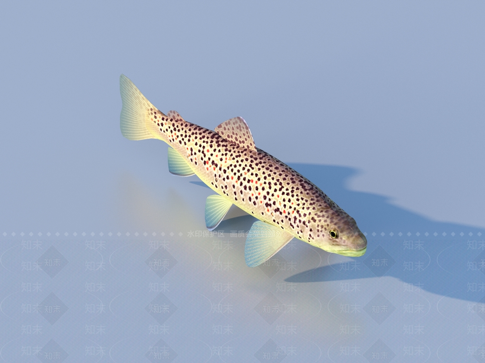 水生类动物3D模型下载【ID:1177655635】