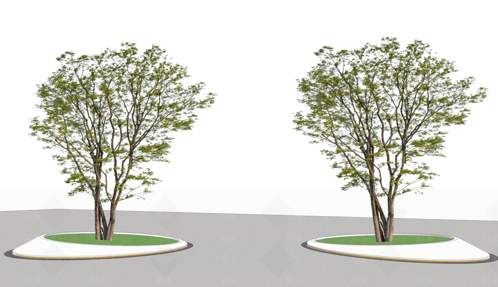 2D丛生朴树SU模型下载【ID:1177659719】