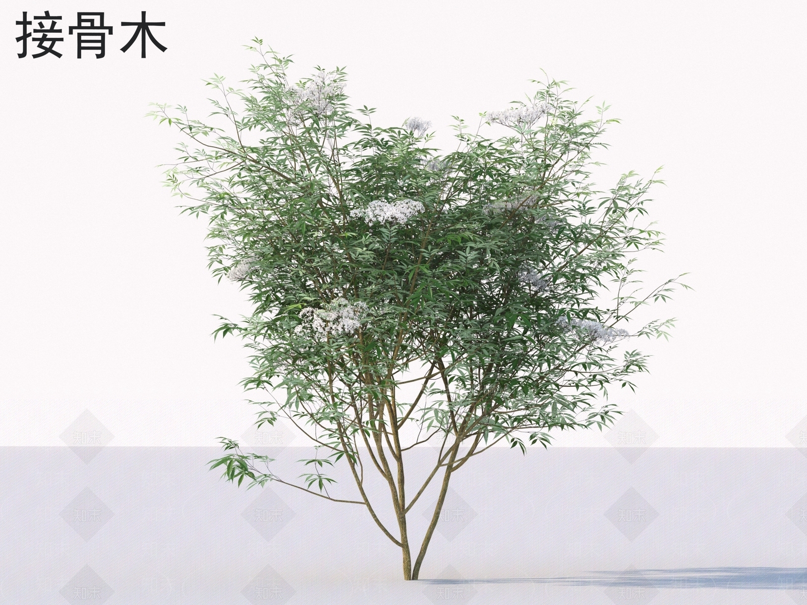 灌木3D模型下载【ID:1177670979】