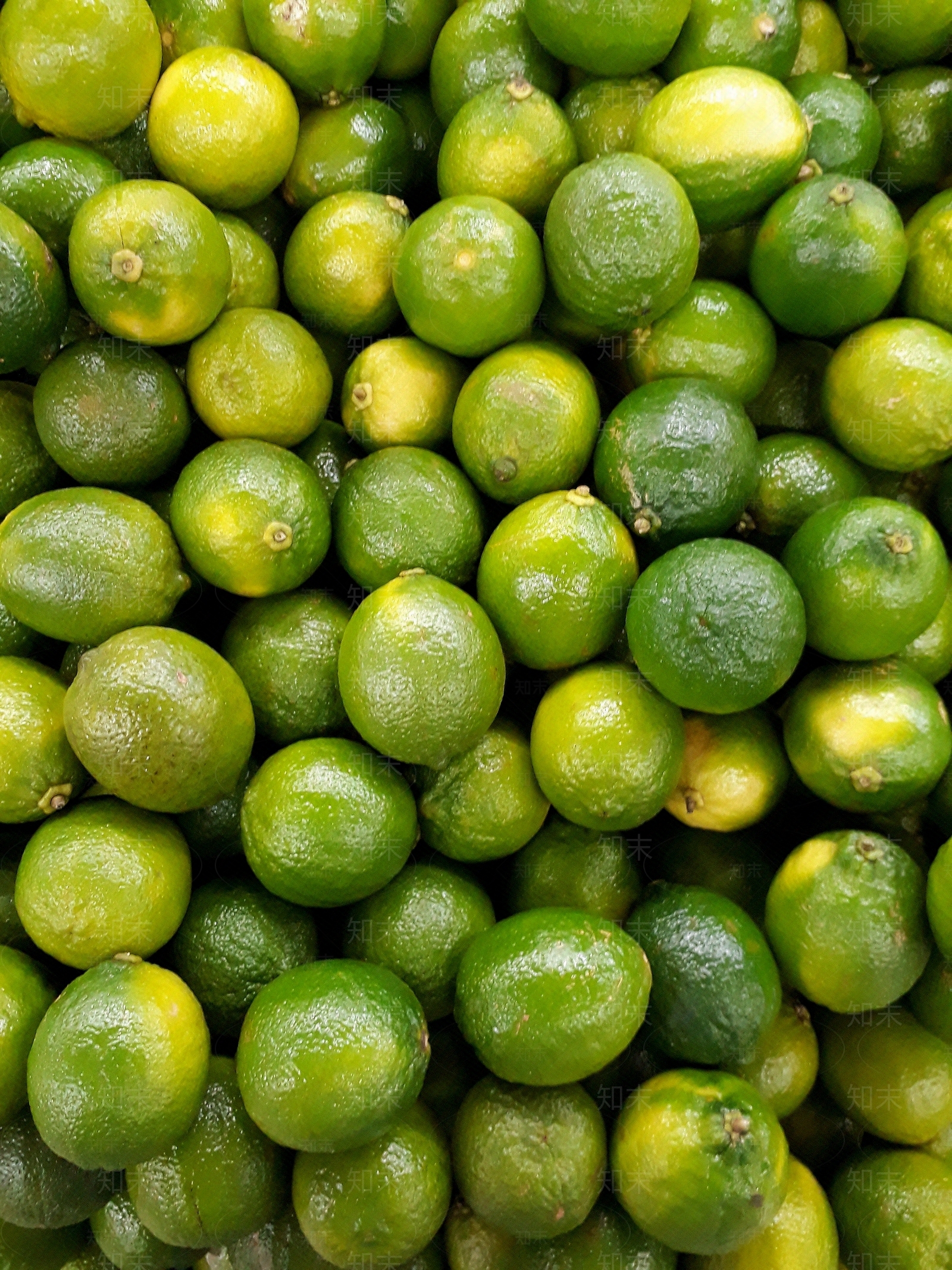 美食高清贴图材质