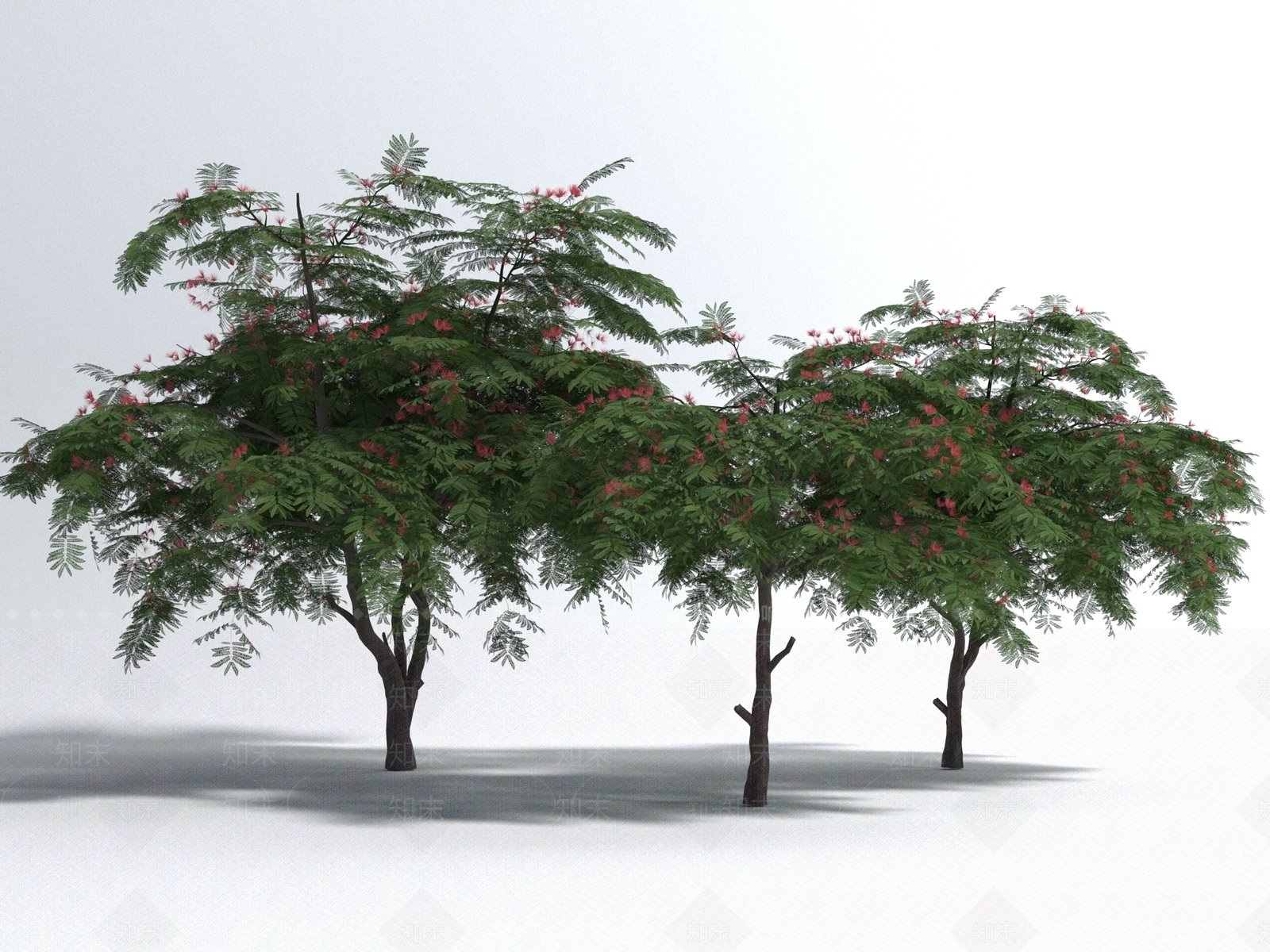 景观树3D模型下载【ID:1177686808】