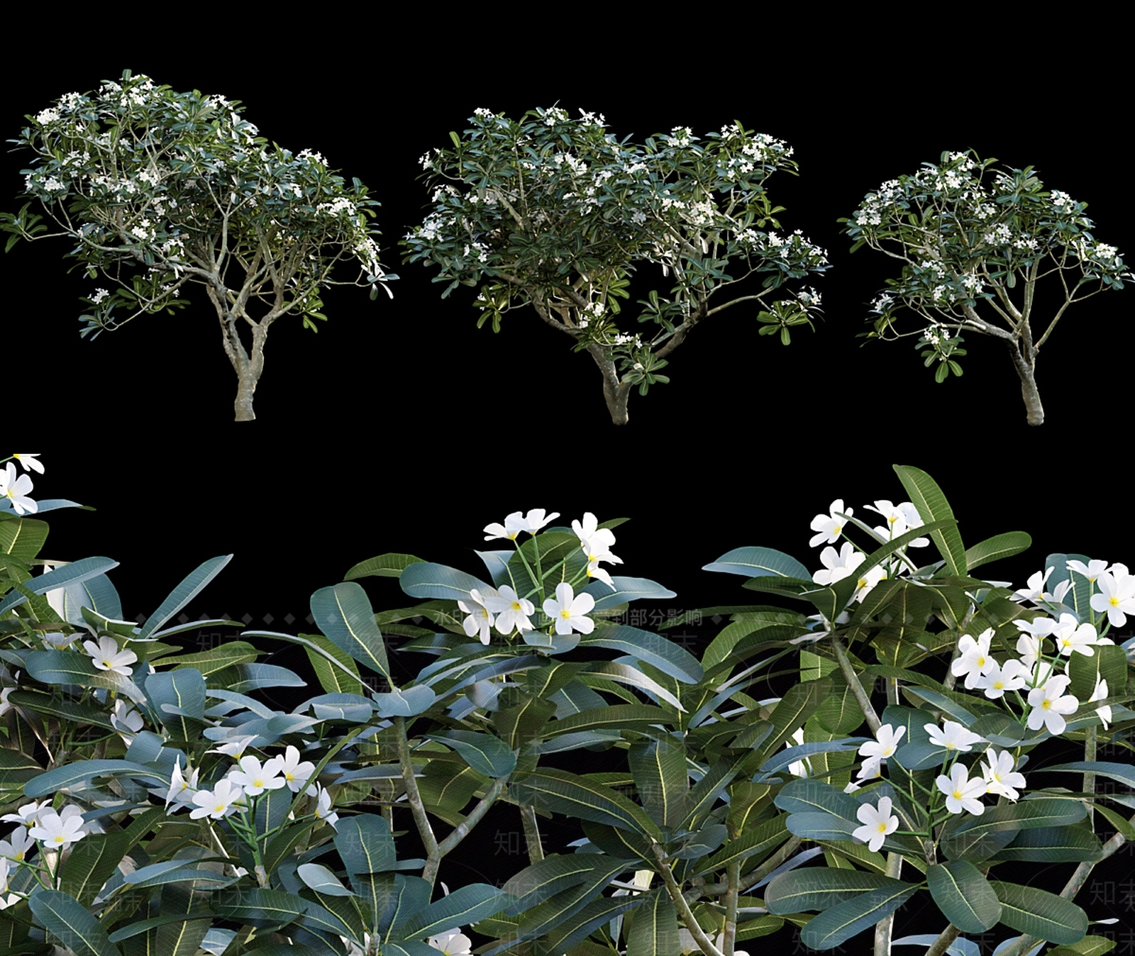 灌木SU模型下载【ID:1177711672】