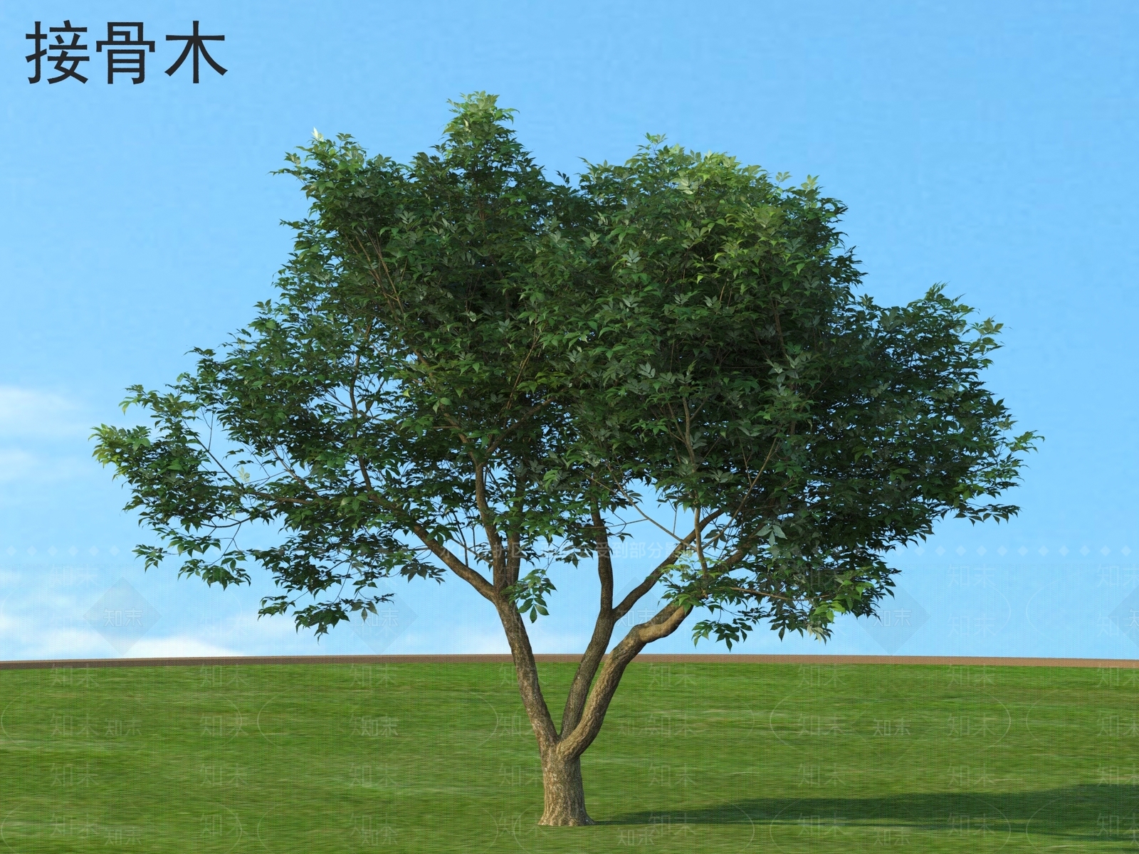 灌木3D模型下载【ID:1177787374】