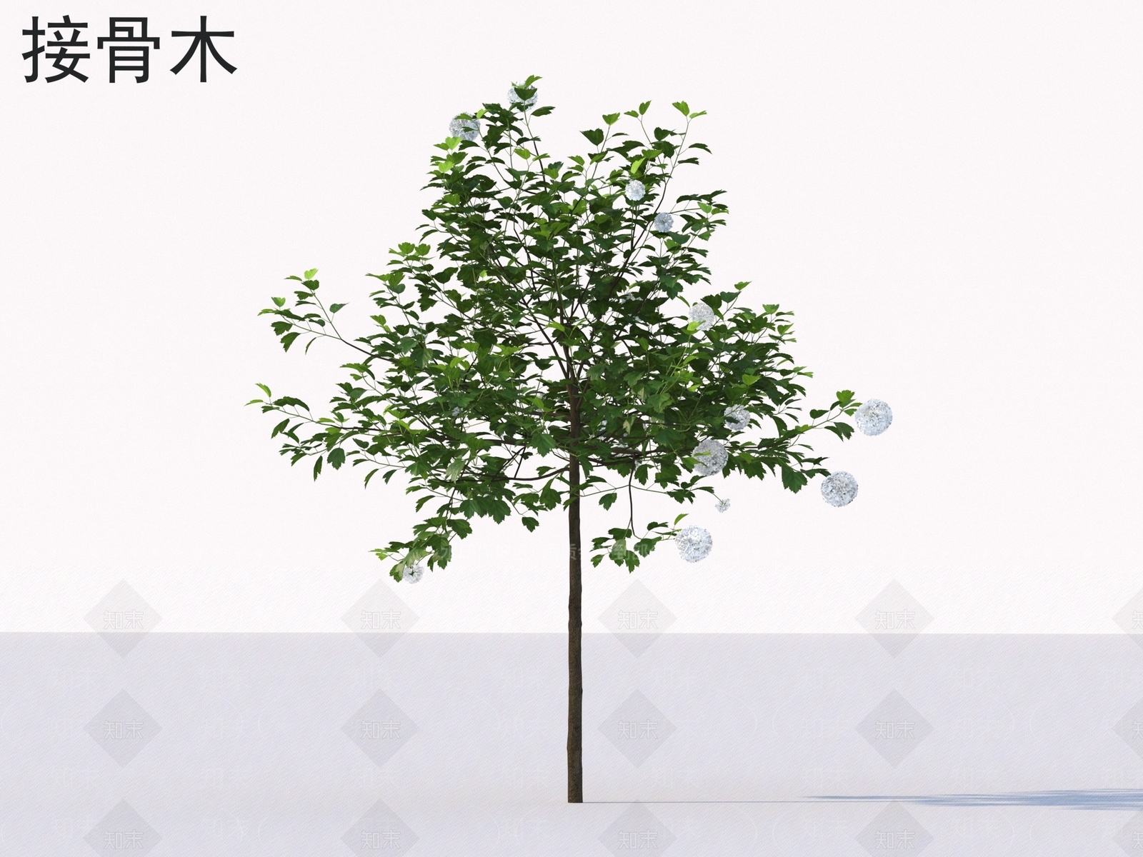 灌木3D模型下载【ID:1177787432】