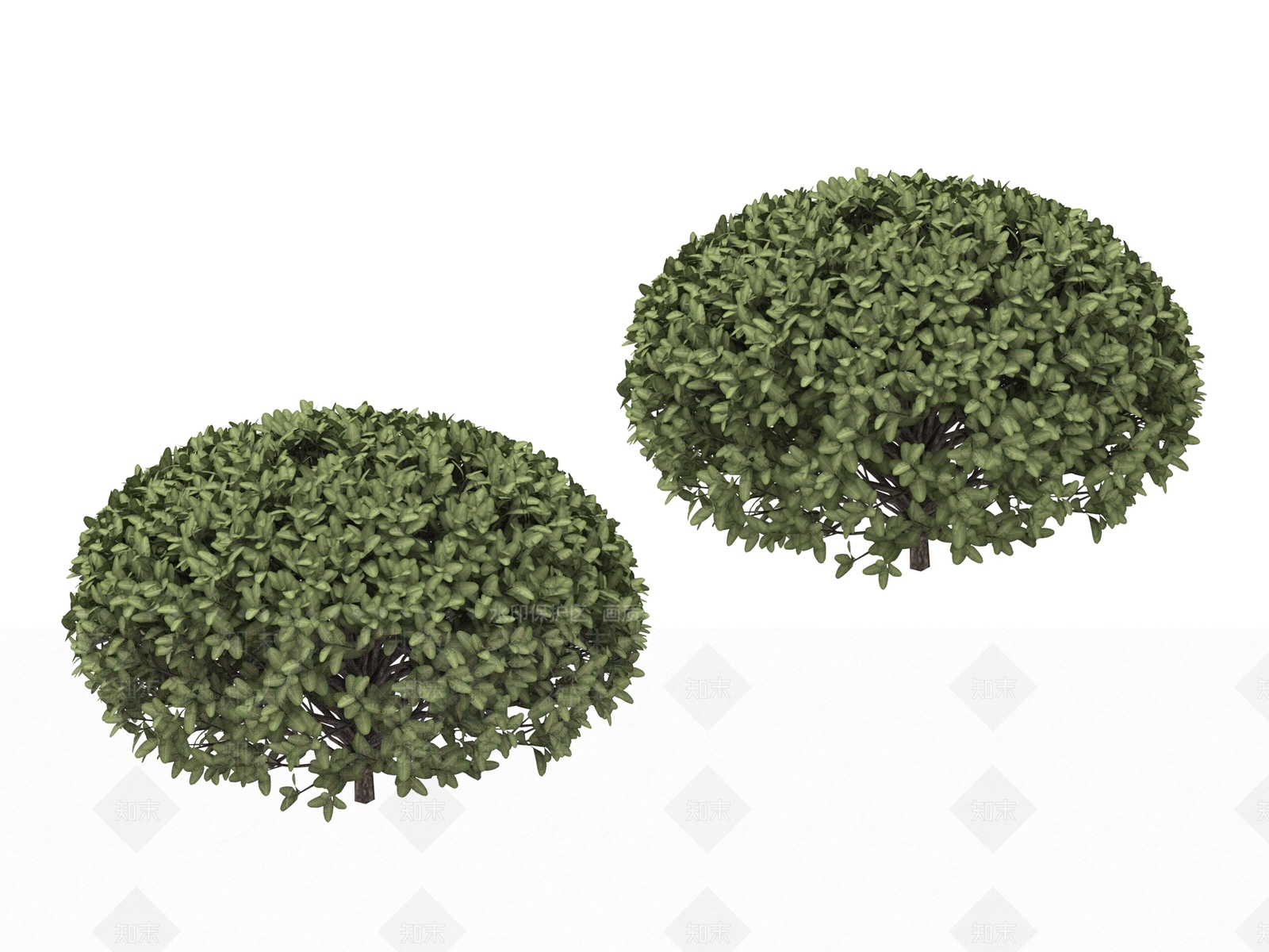 灌木3D模型下载【ID:1177806593】