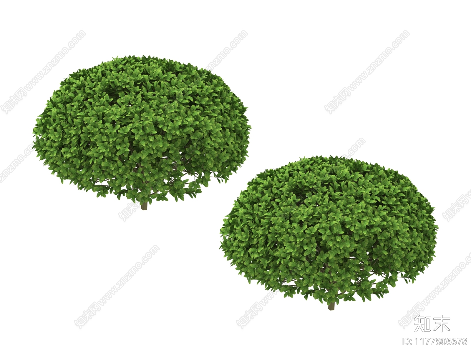 灌木3D模型下载【ID:1177806678】