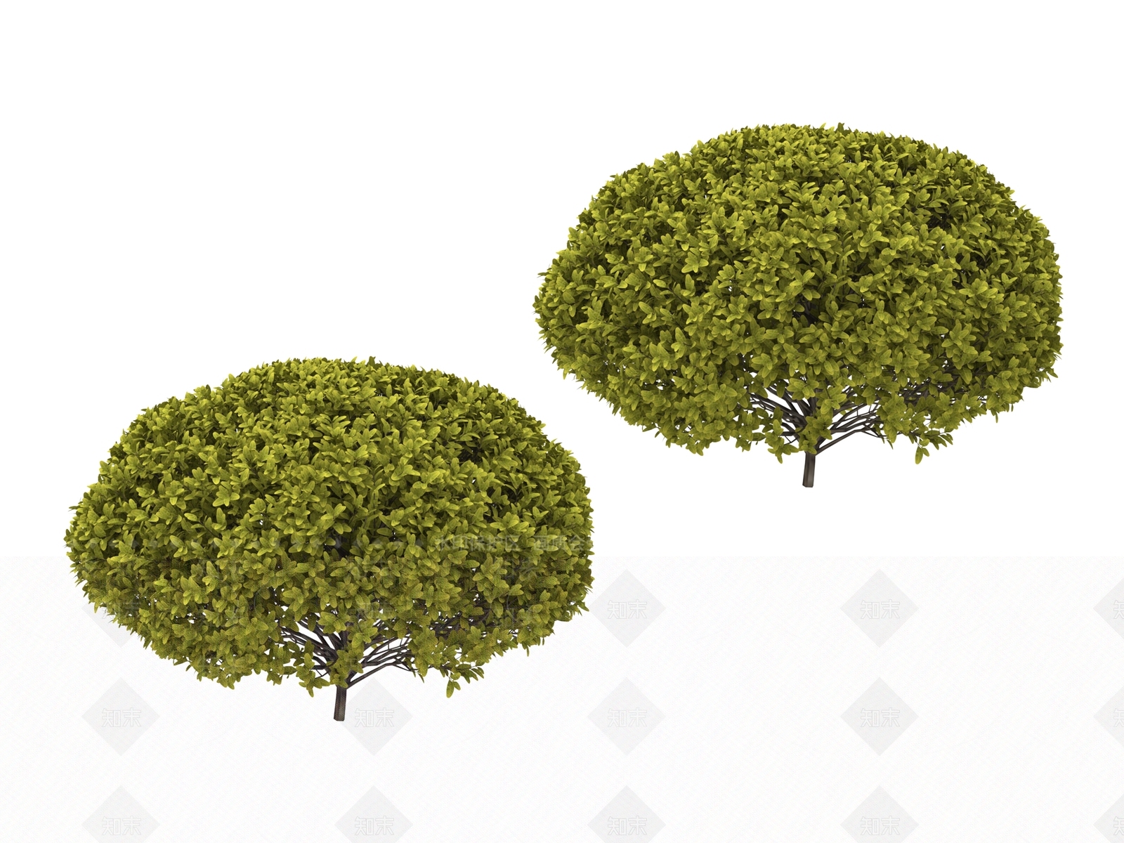 灌木3D模型下载【ID:1177807167】