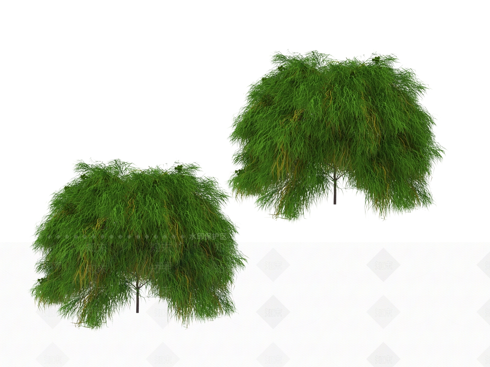 灌木3D模型下载【ID:1177809328】