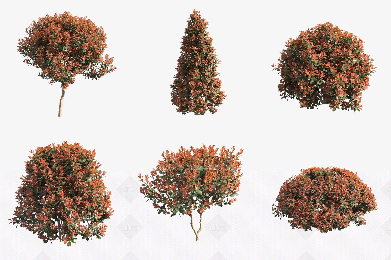 灌木3D模型下载【ID:1177833220】