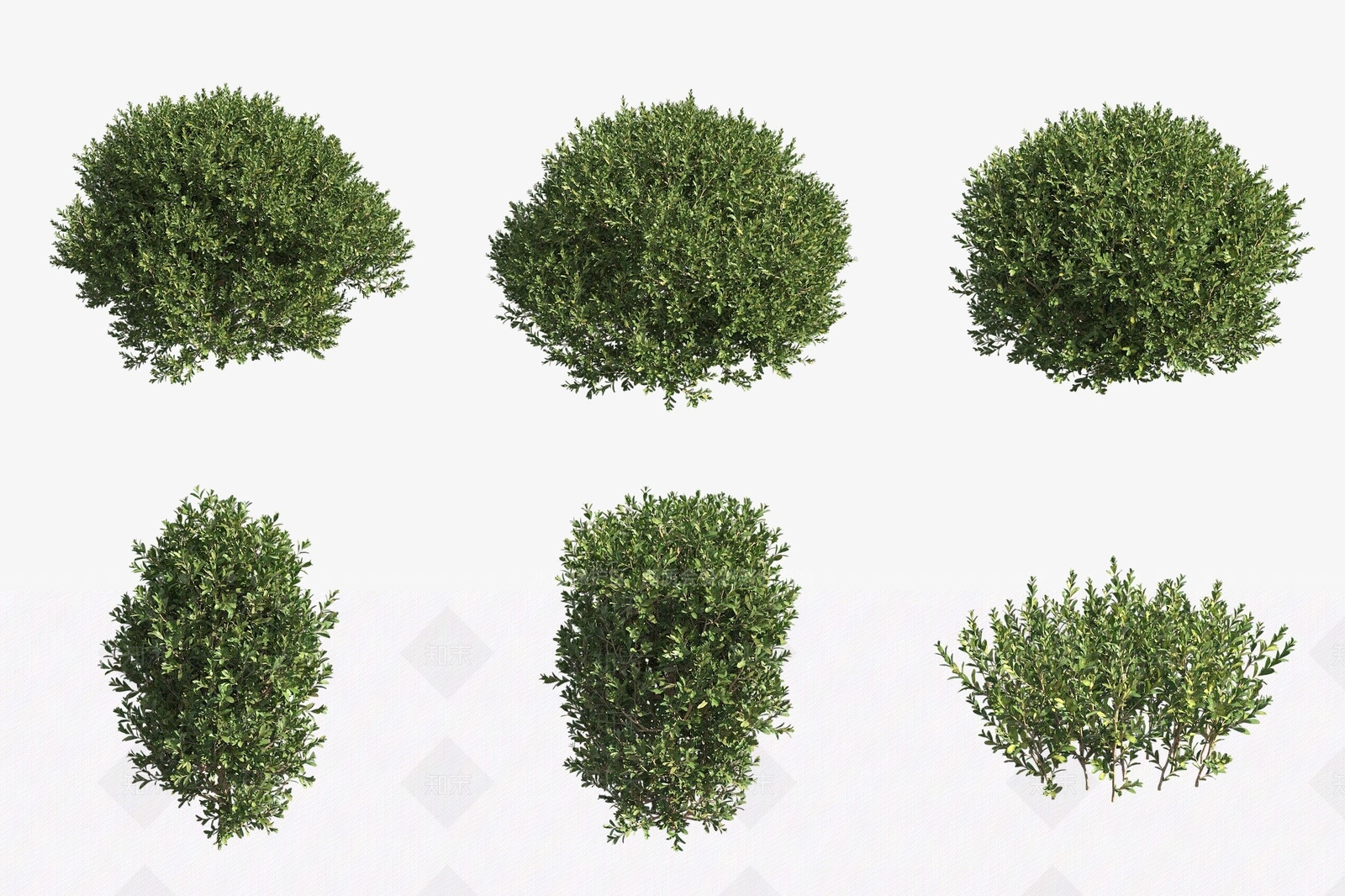 灌木3D模型下载【ID:1177833973】